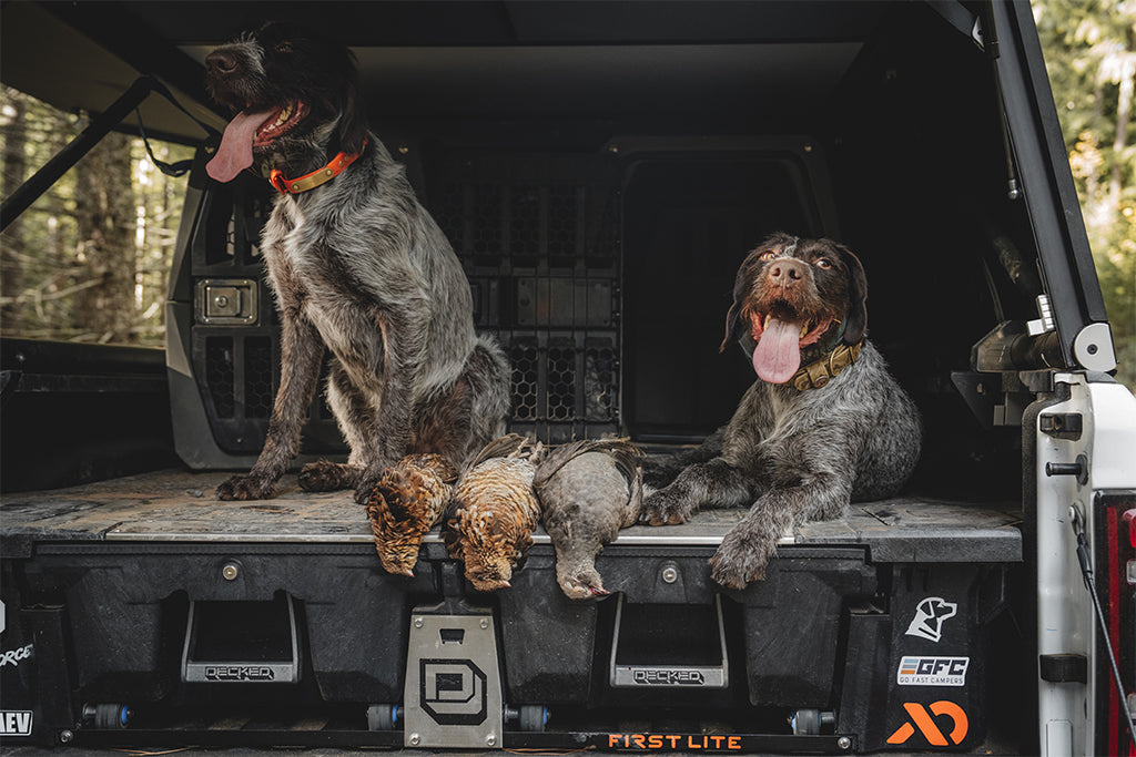 Two dogs lounge on DECKED Drawer System with 3 harvested upland game birds between them