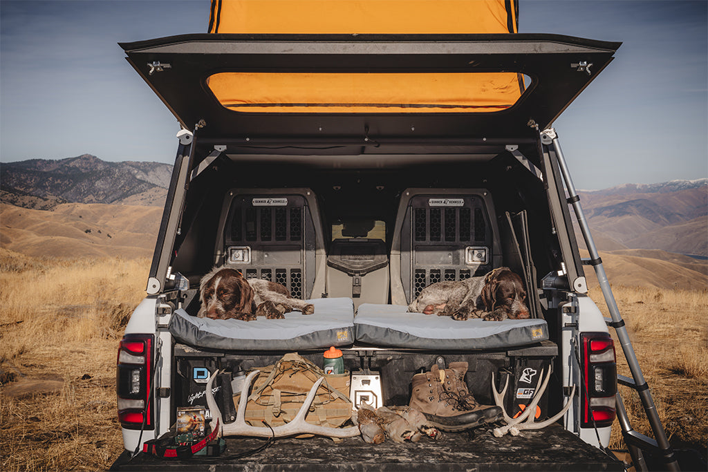 Two hunting dogs relax on a DECKED Drawer System in the bed of a truck