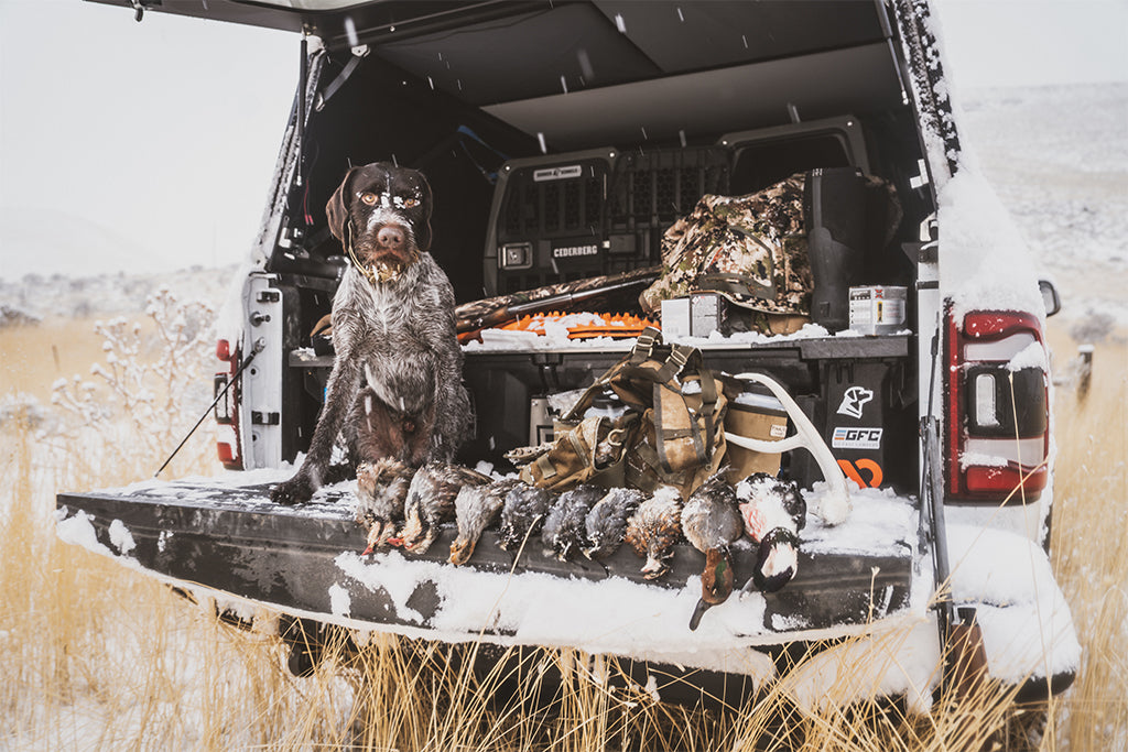 Dogs, gear, and a good haul of birds.