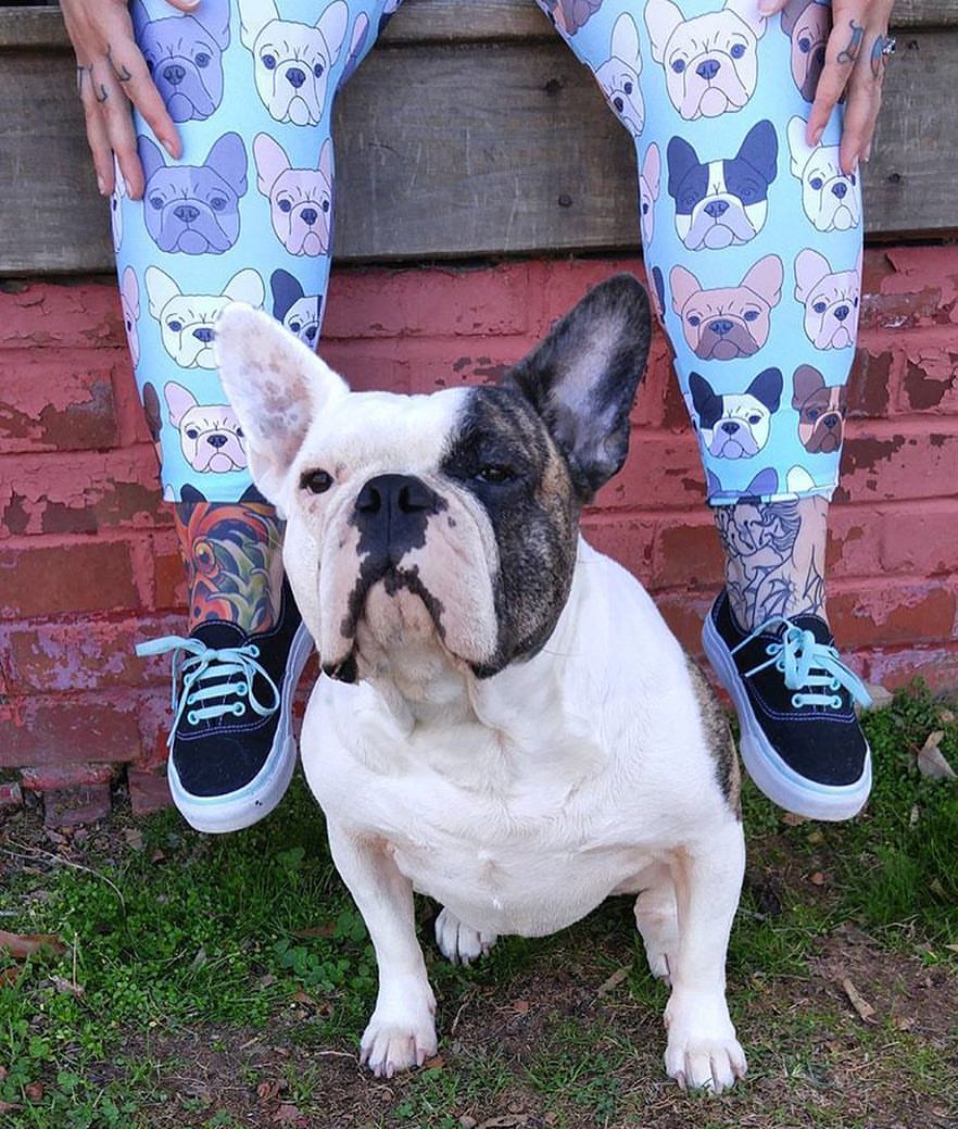 French Bulldog On Mint Womens Leggings Babalus By Lucy