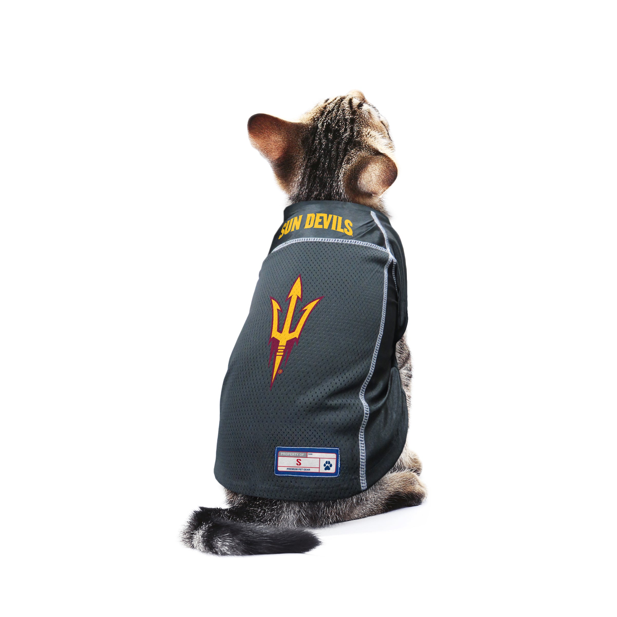 asu dog clothes