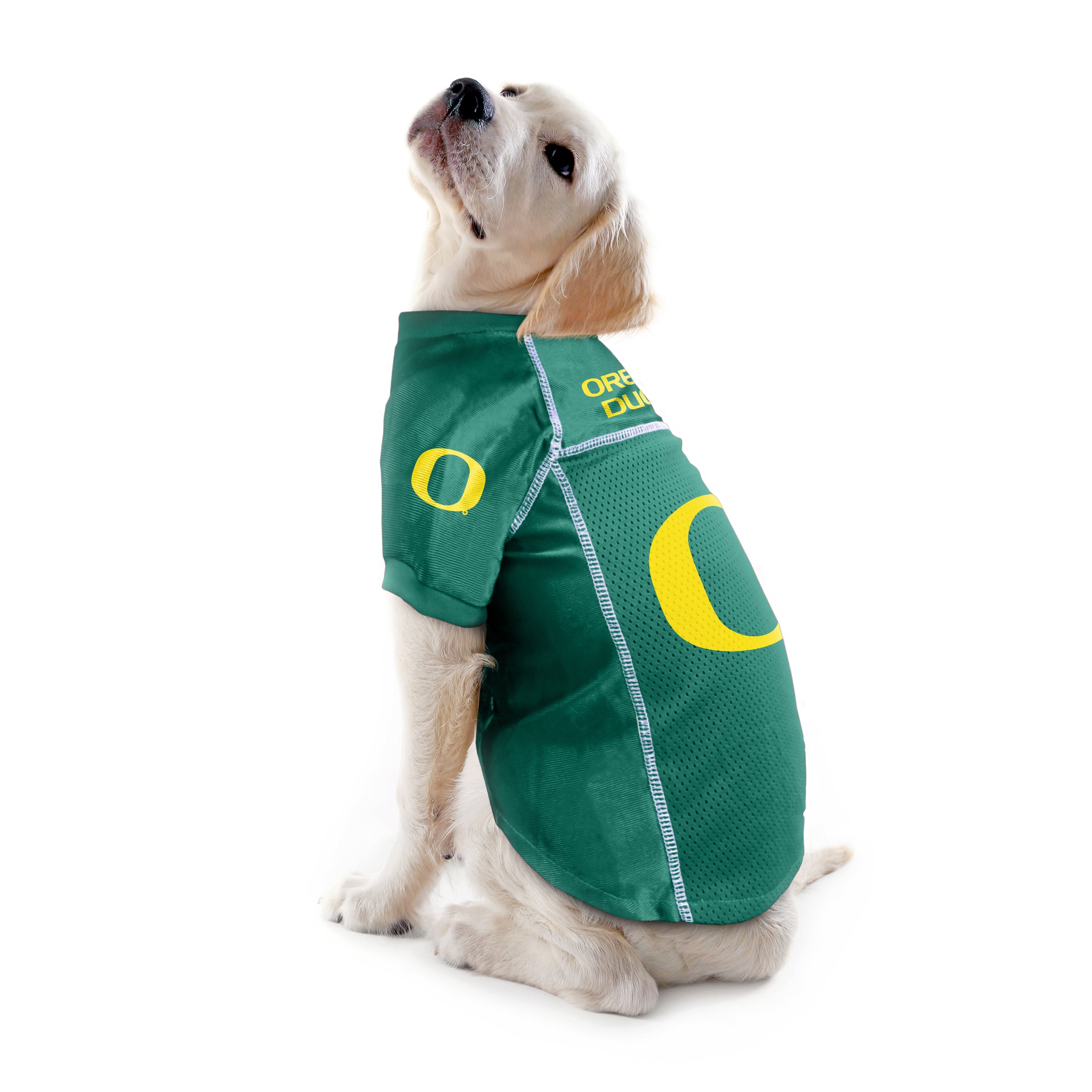 Green Bay Packers Pet Jersey