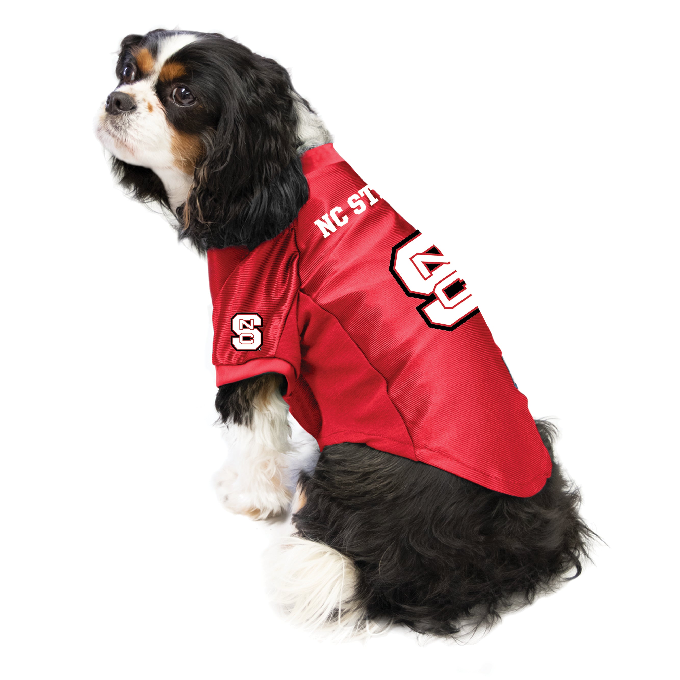 LITTLEARTH NCAA Stretch Dog & Cat Jersey, Nebraska Horn huskers, X-Large -  Chewy.com