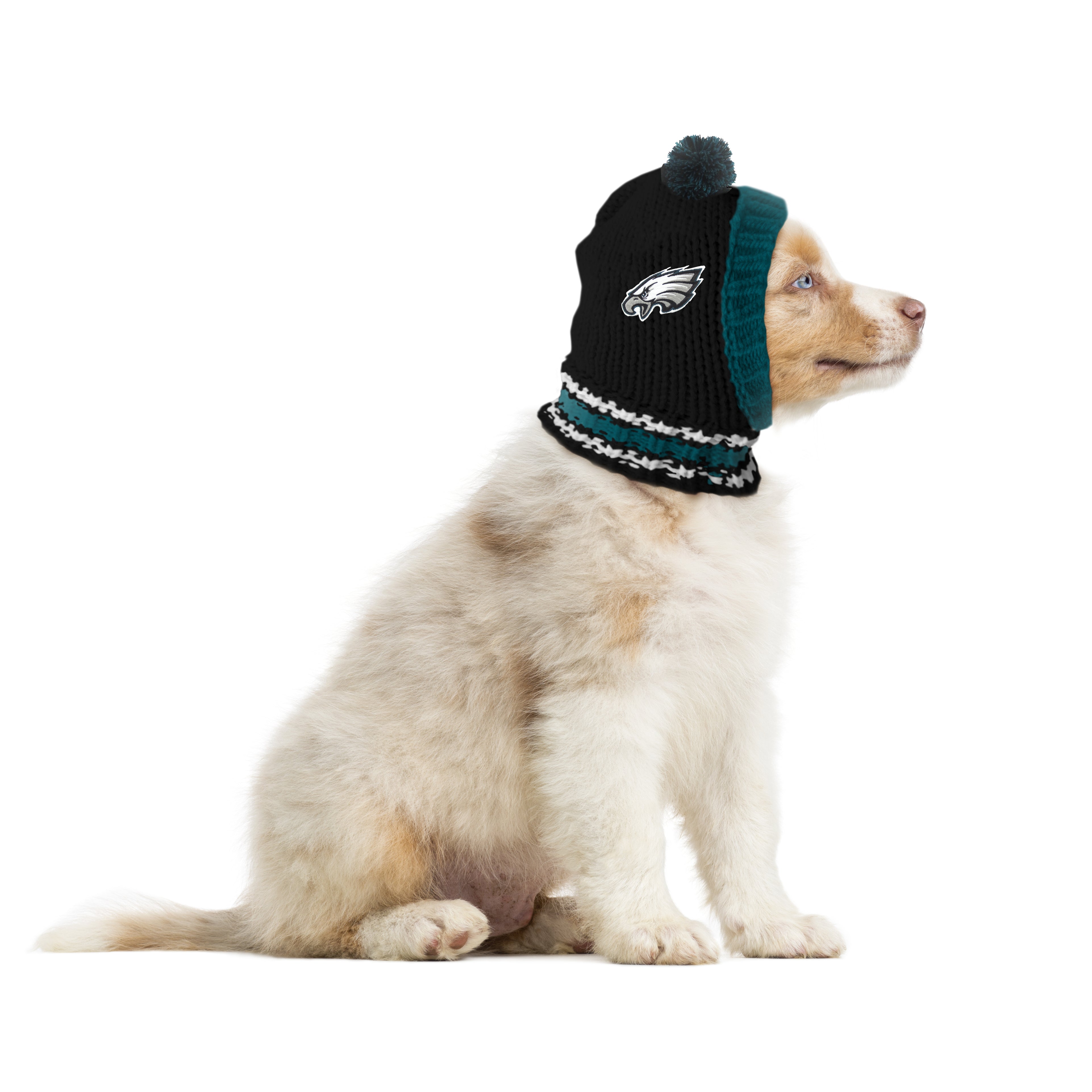 Philadelphia Eagles sports pet supplies for dogs