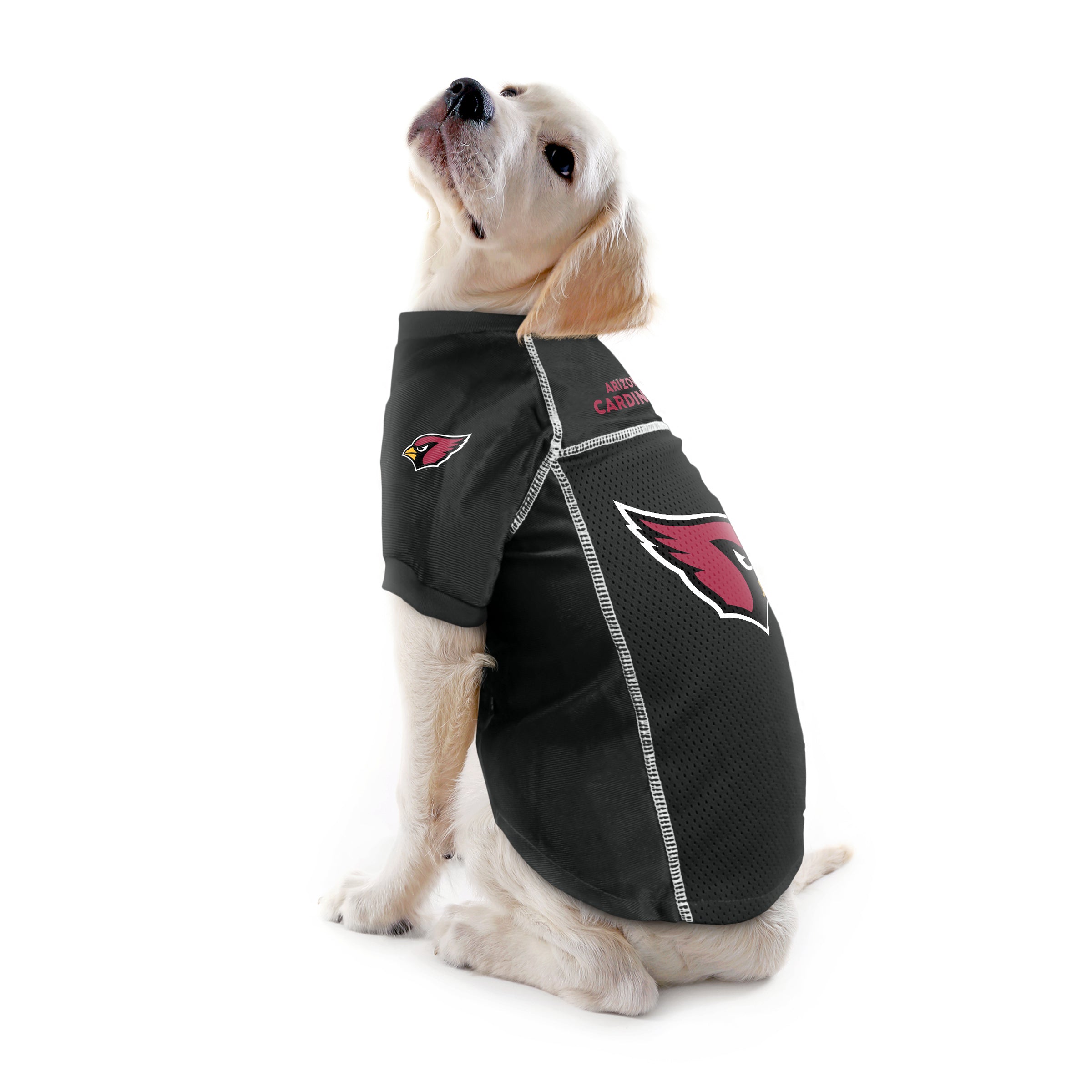 arizona cardinals dog jersey