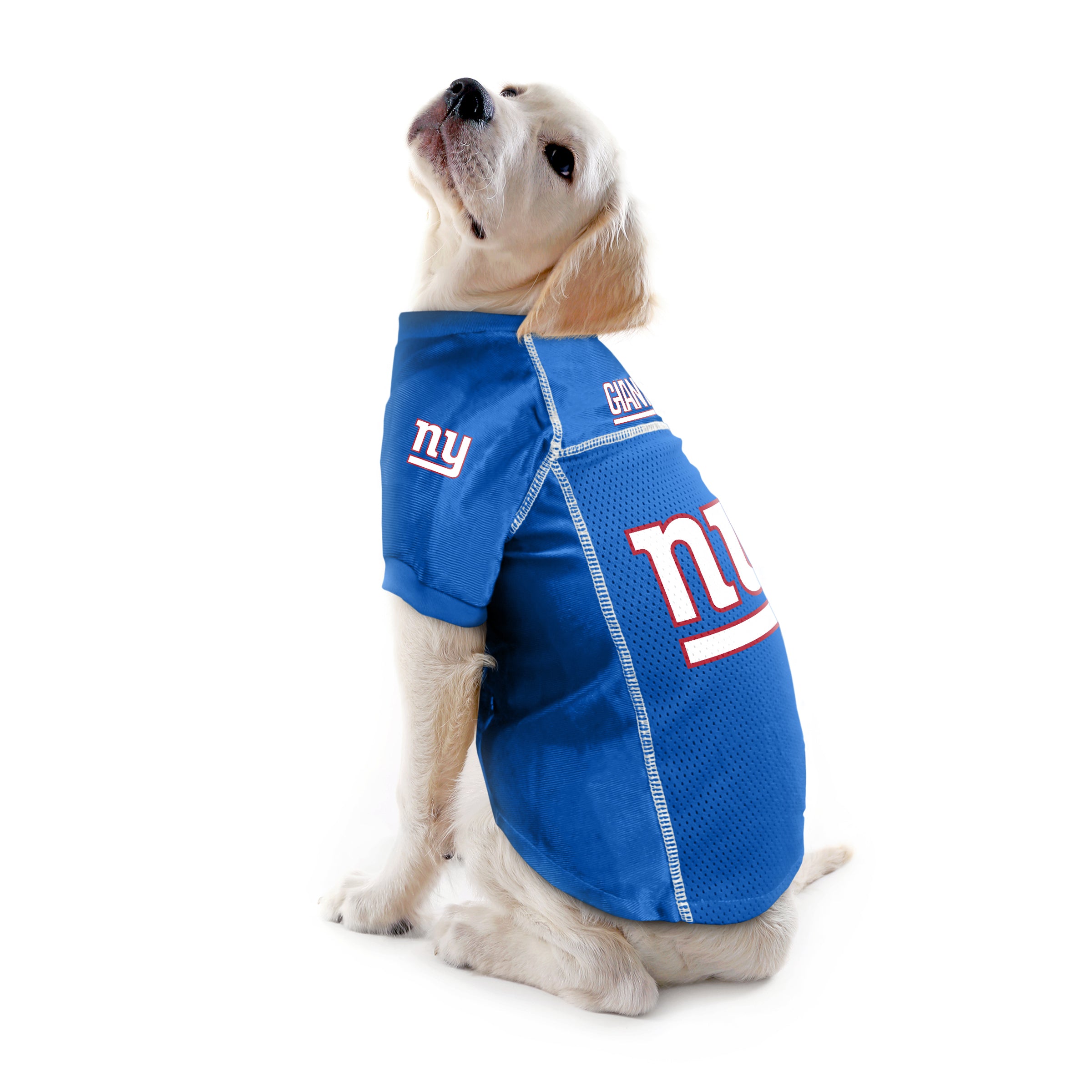 new york giants pet jersey