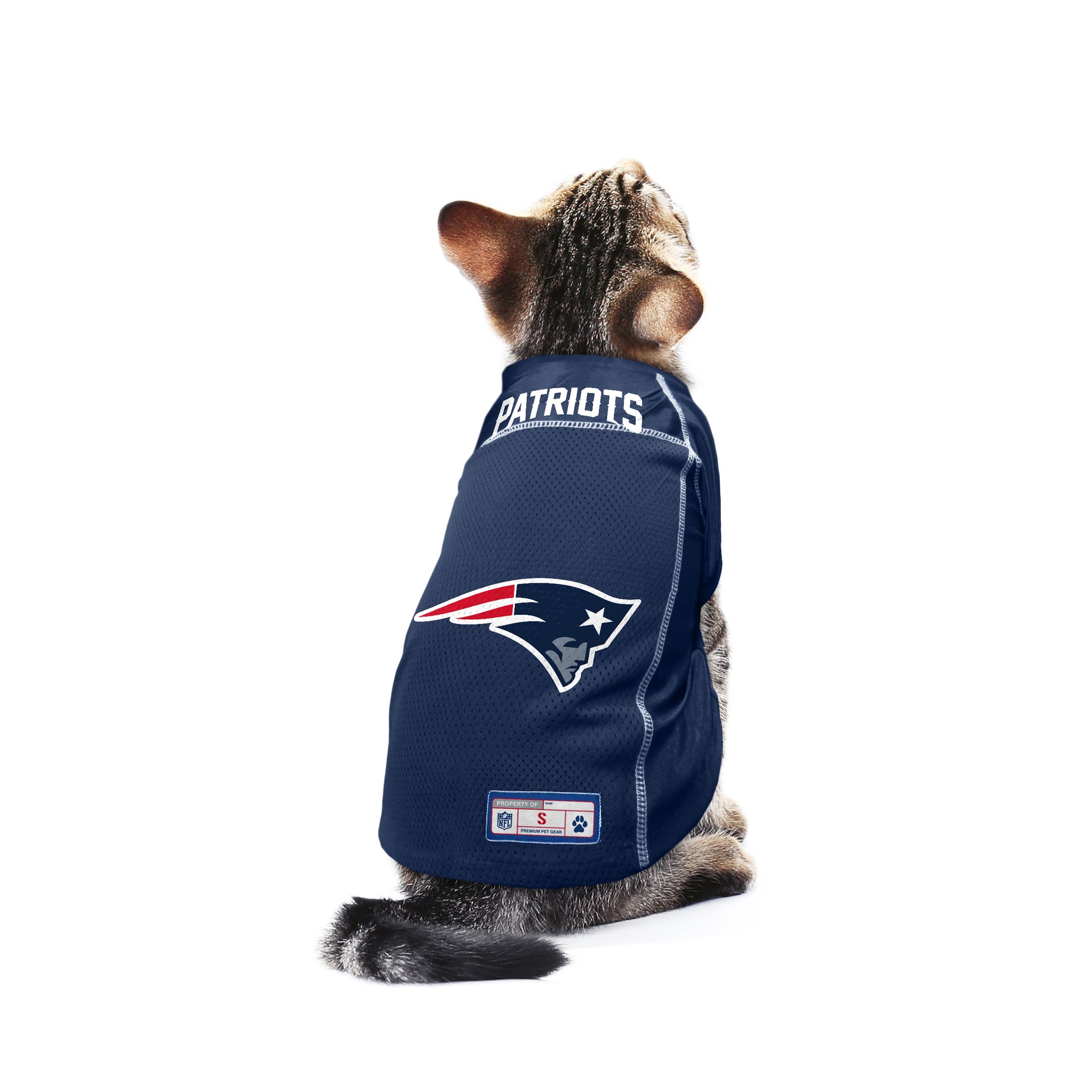 patriots pet jersey