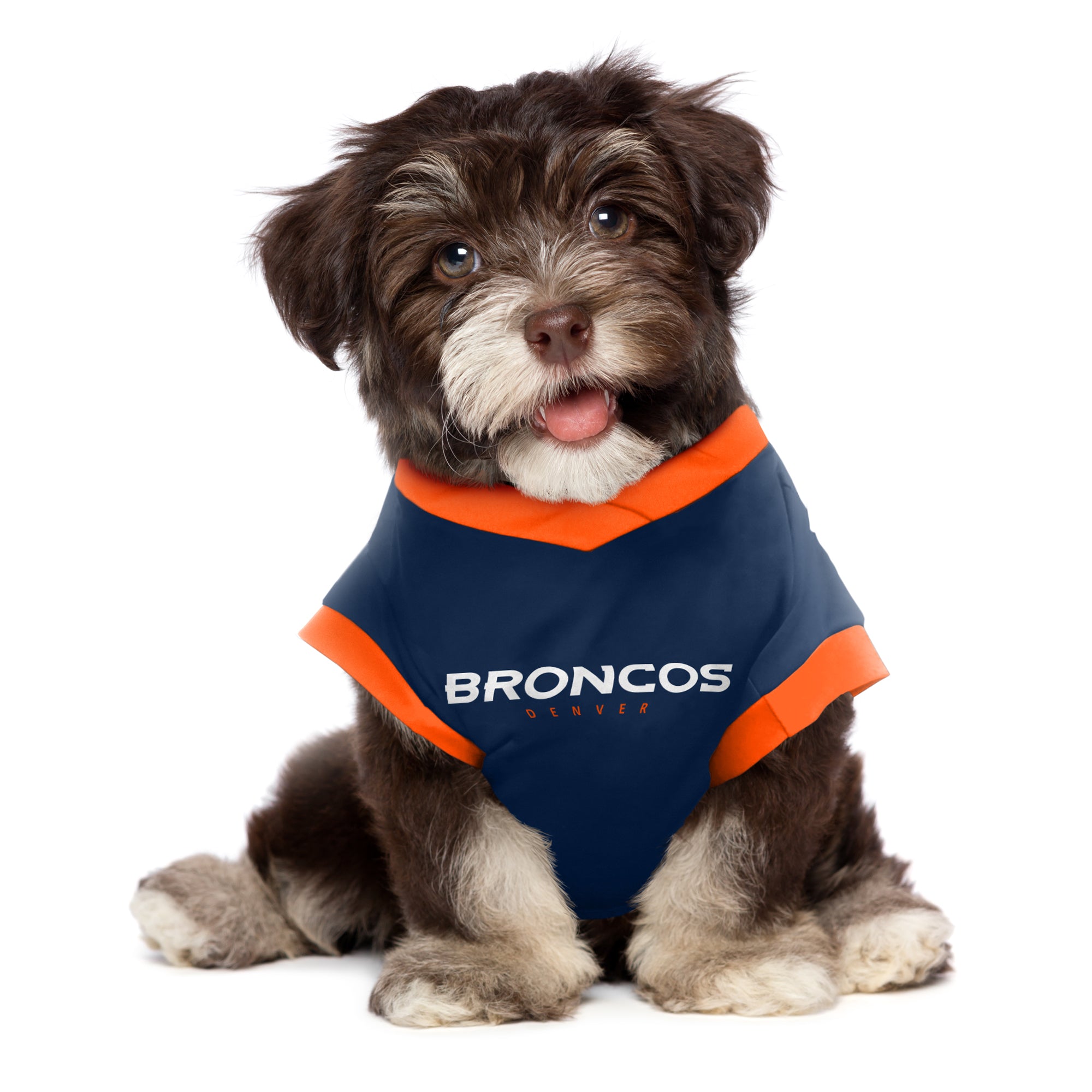 Denver Broncos Pet Gear, Broncos Collars, Chew Toys, Pet