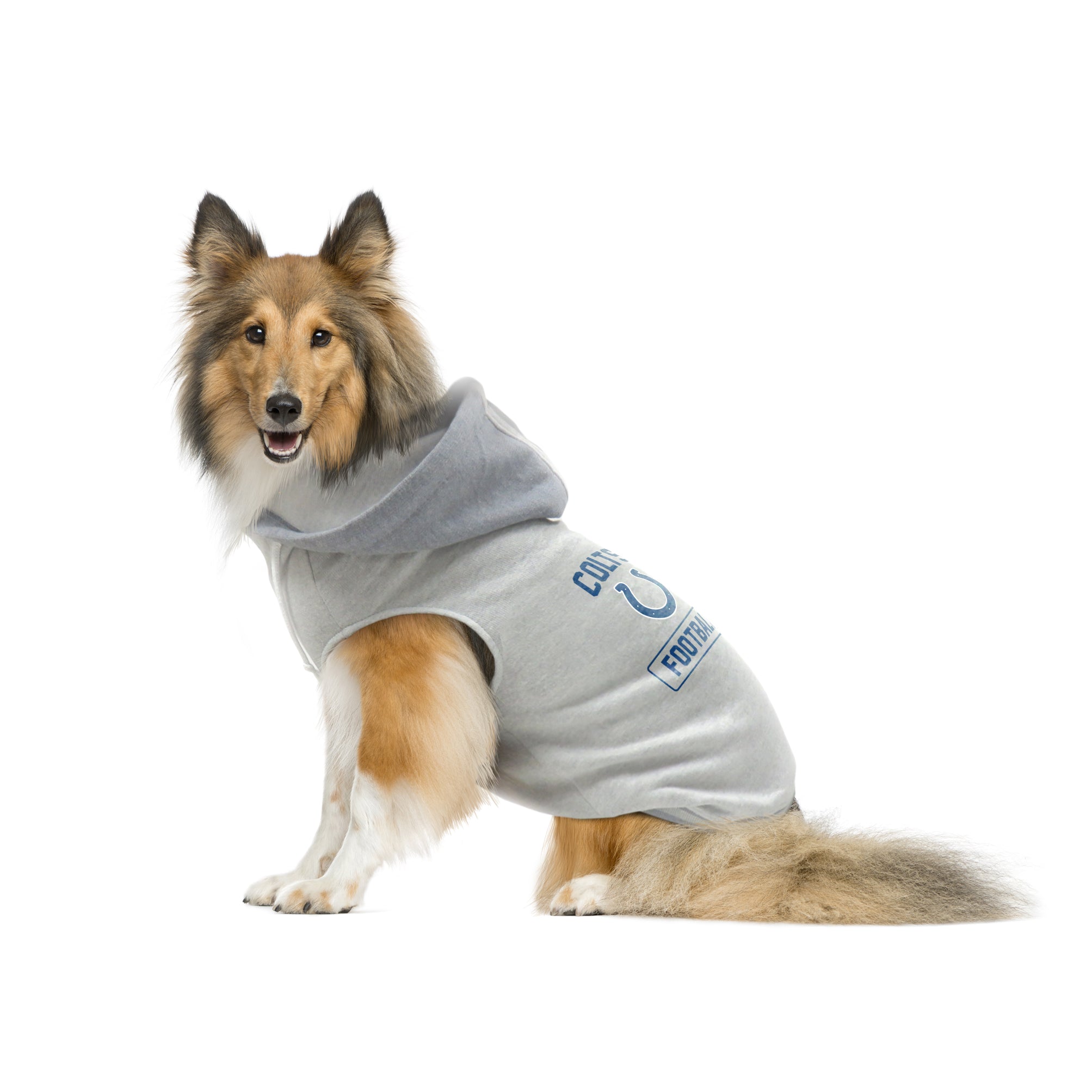 Littlearth NFL Unisex Pet Hooded Crewneck