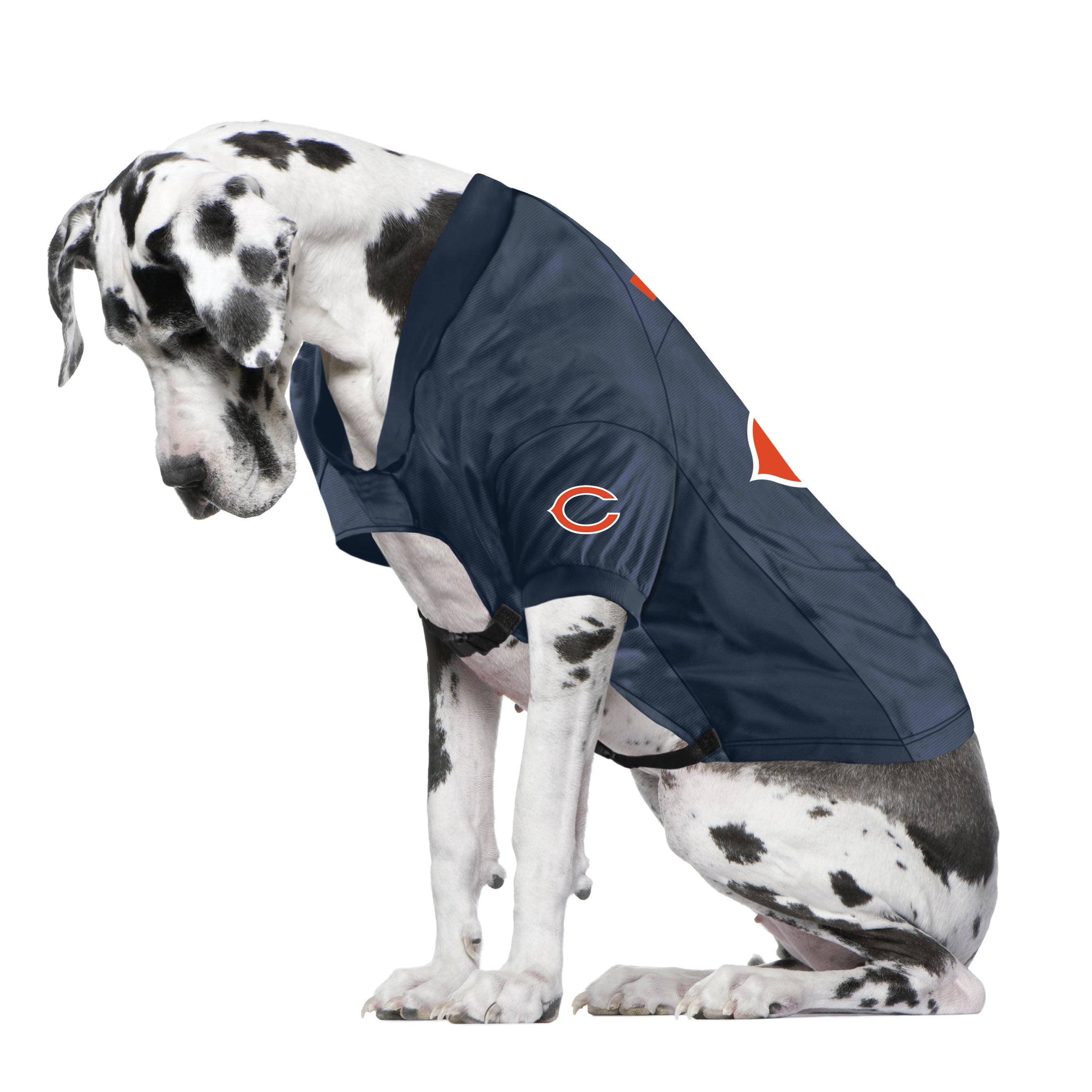 Plus Sizes Chicago Bears Apparel, Chicago Bears Clothing