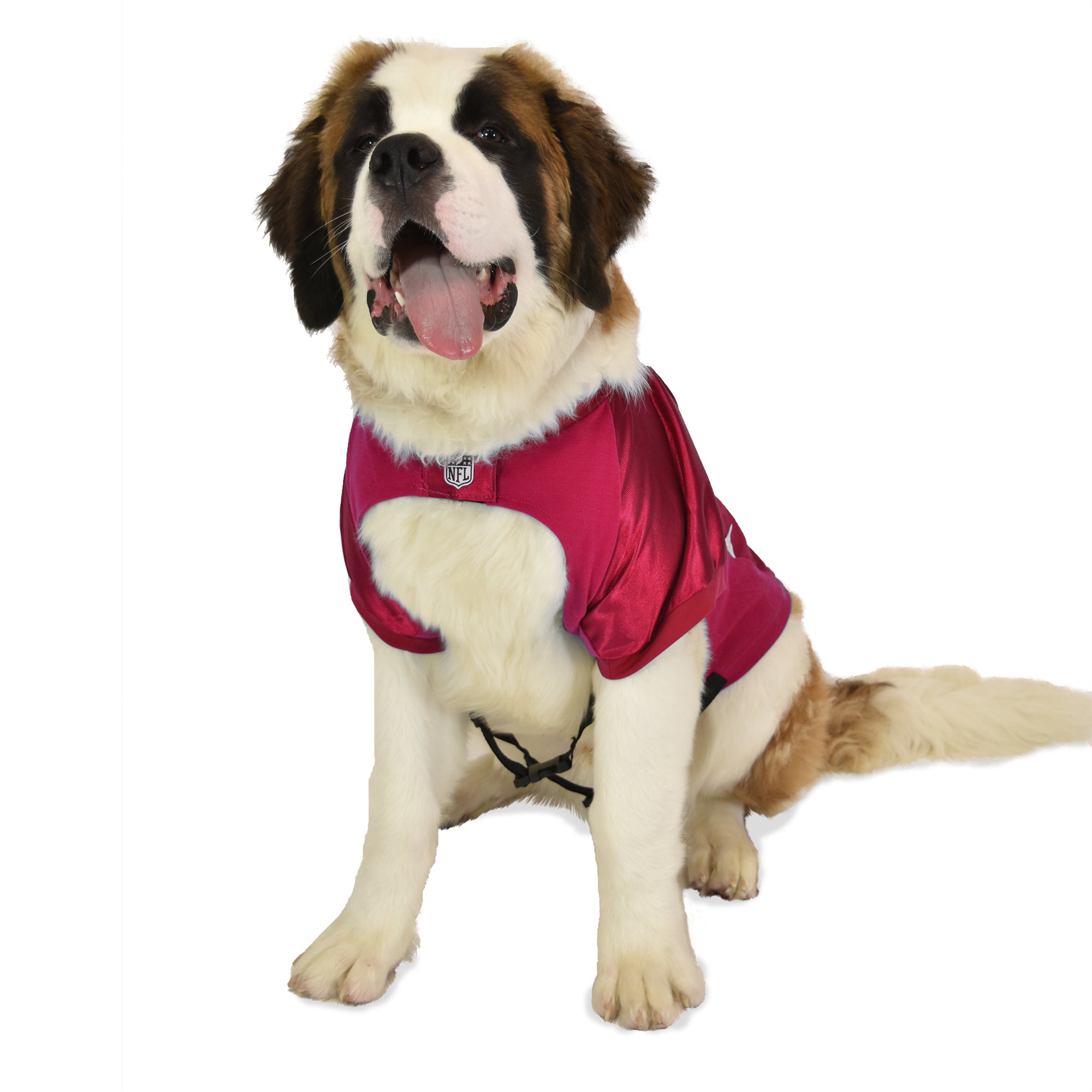 Arizona Cardinals Dog Jersey - Large