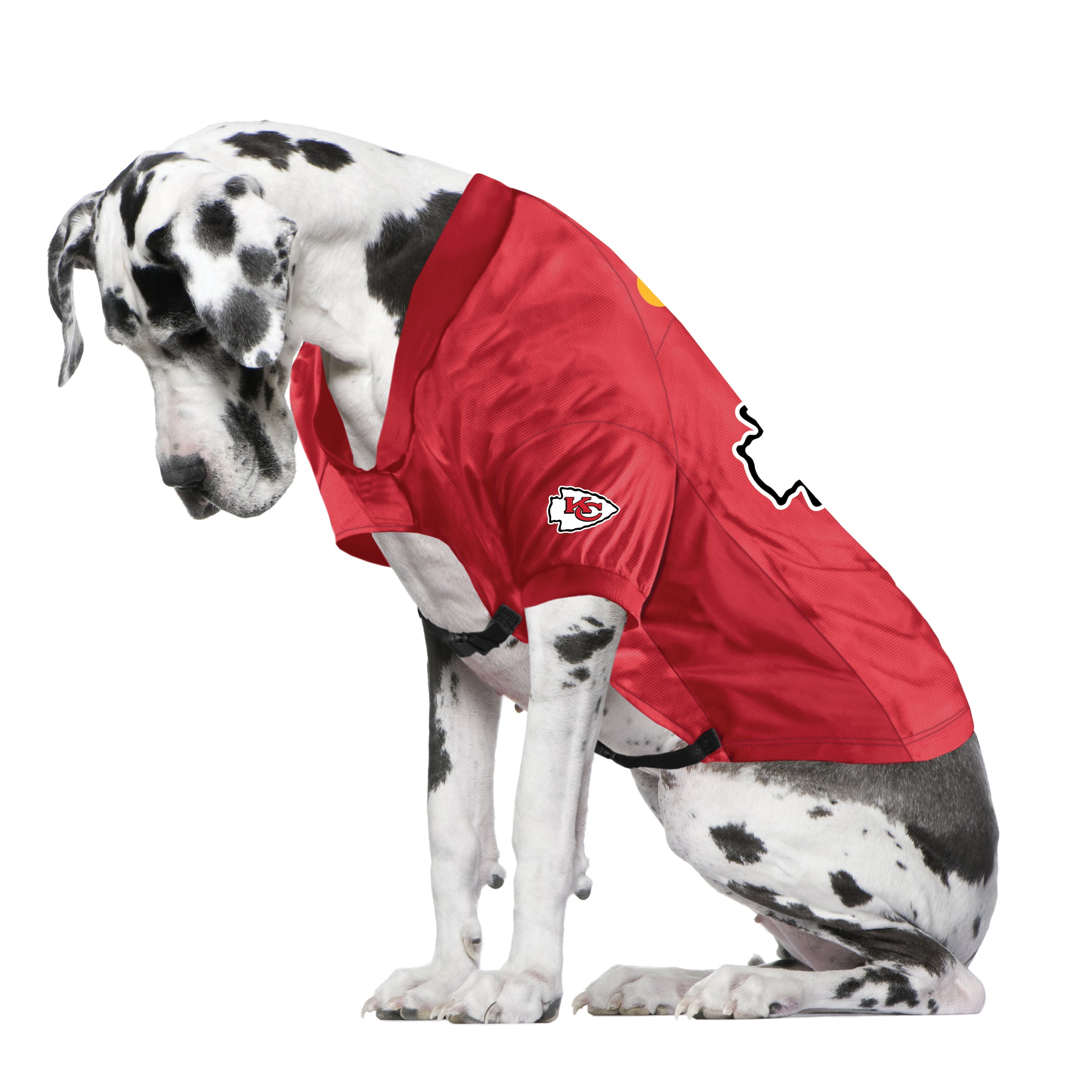 : Pets First KCC-4145-MD Kansas City Chiefs Mesh Jersey,  Multicolor, One Size : Sports & Outdoors