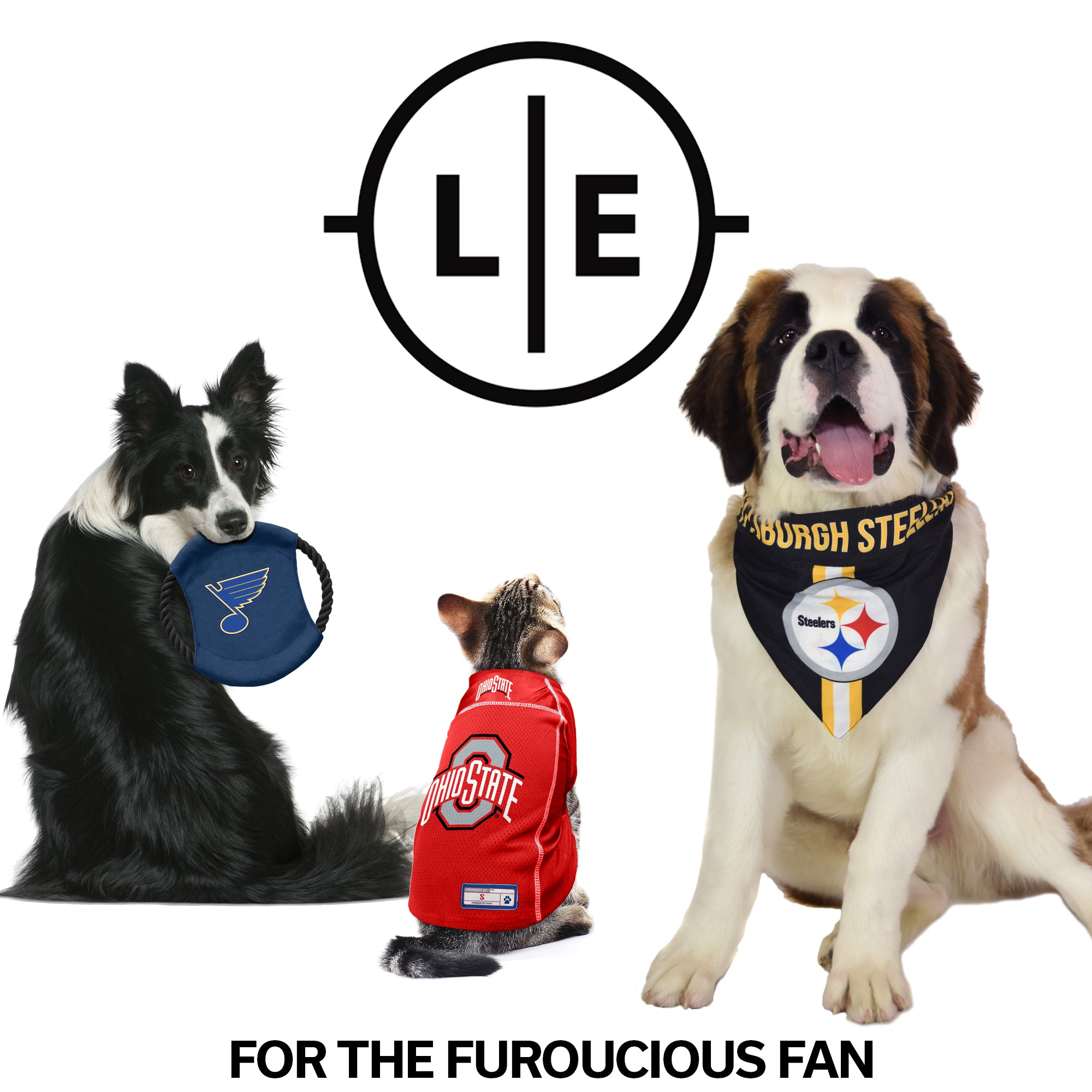 kansas city chiefs pet jersey