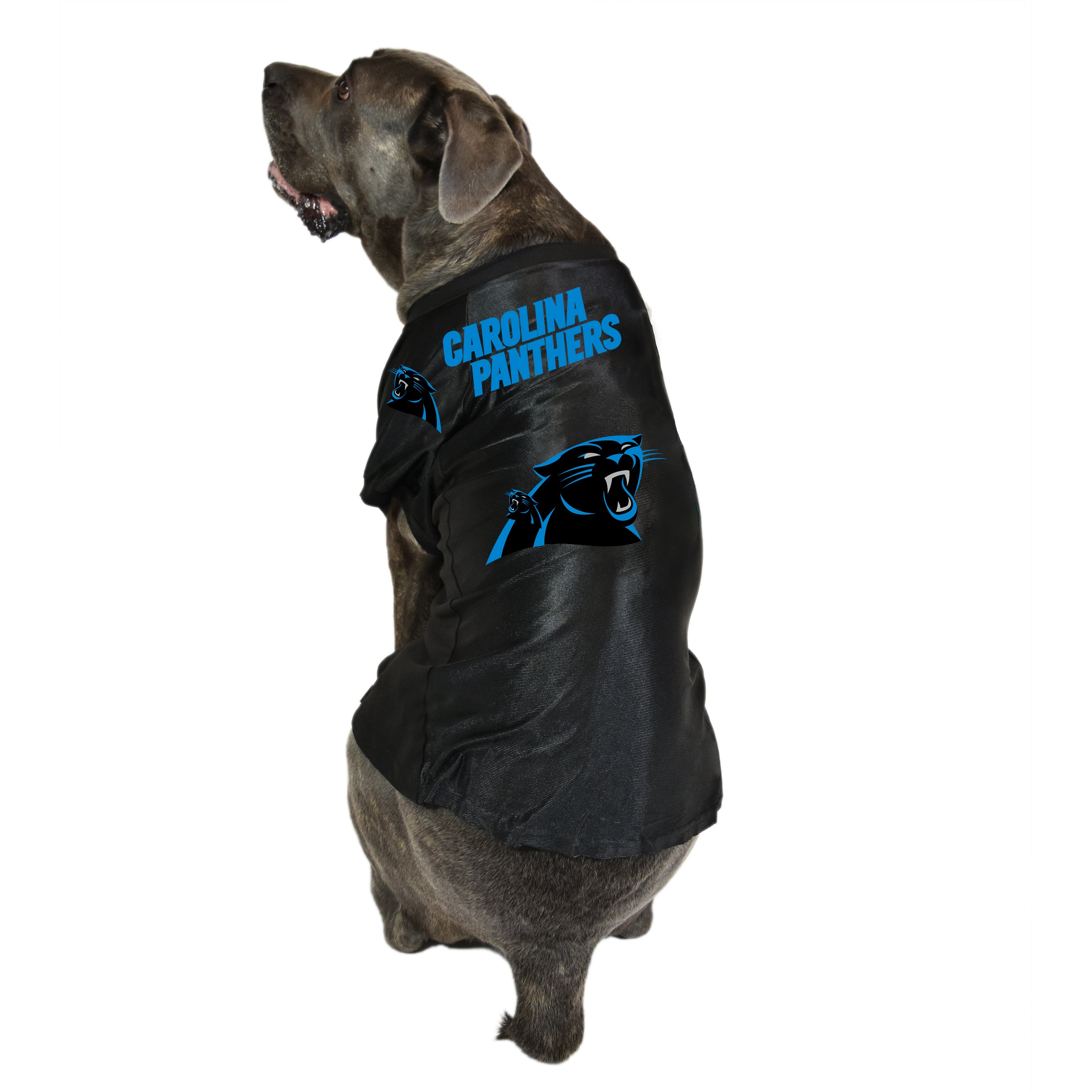 panthers dog jersey