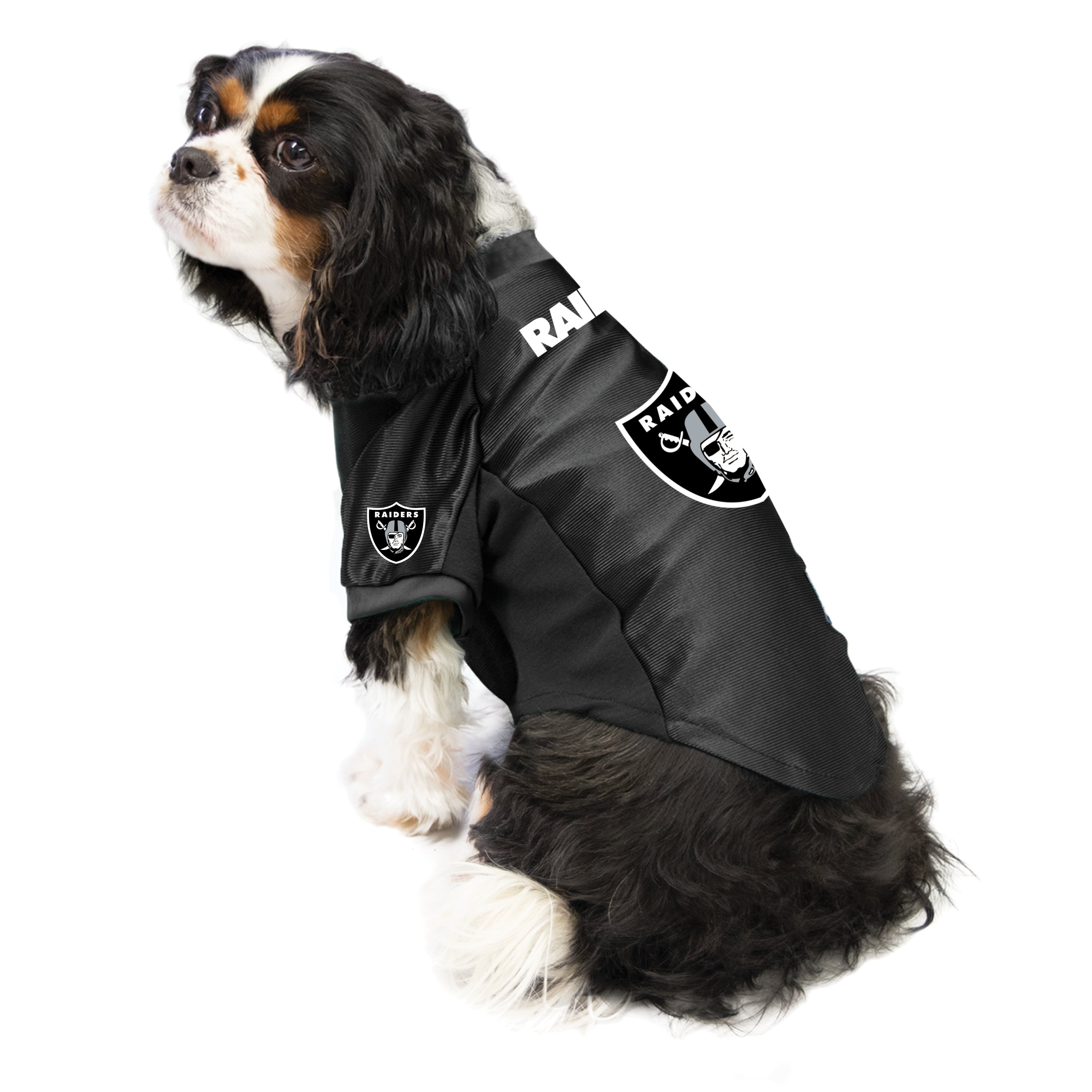 Licensed NFL - New Orleans Saints Team Jersey - Black (Pet, Dog) X