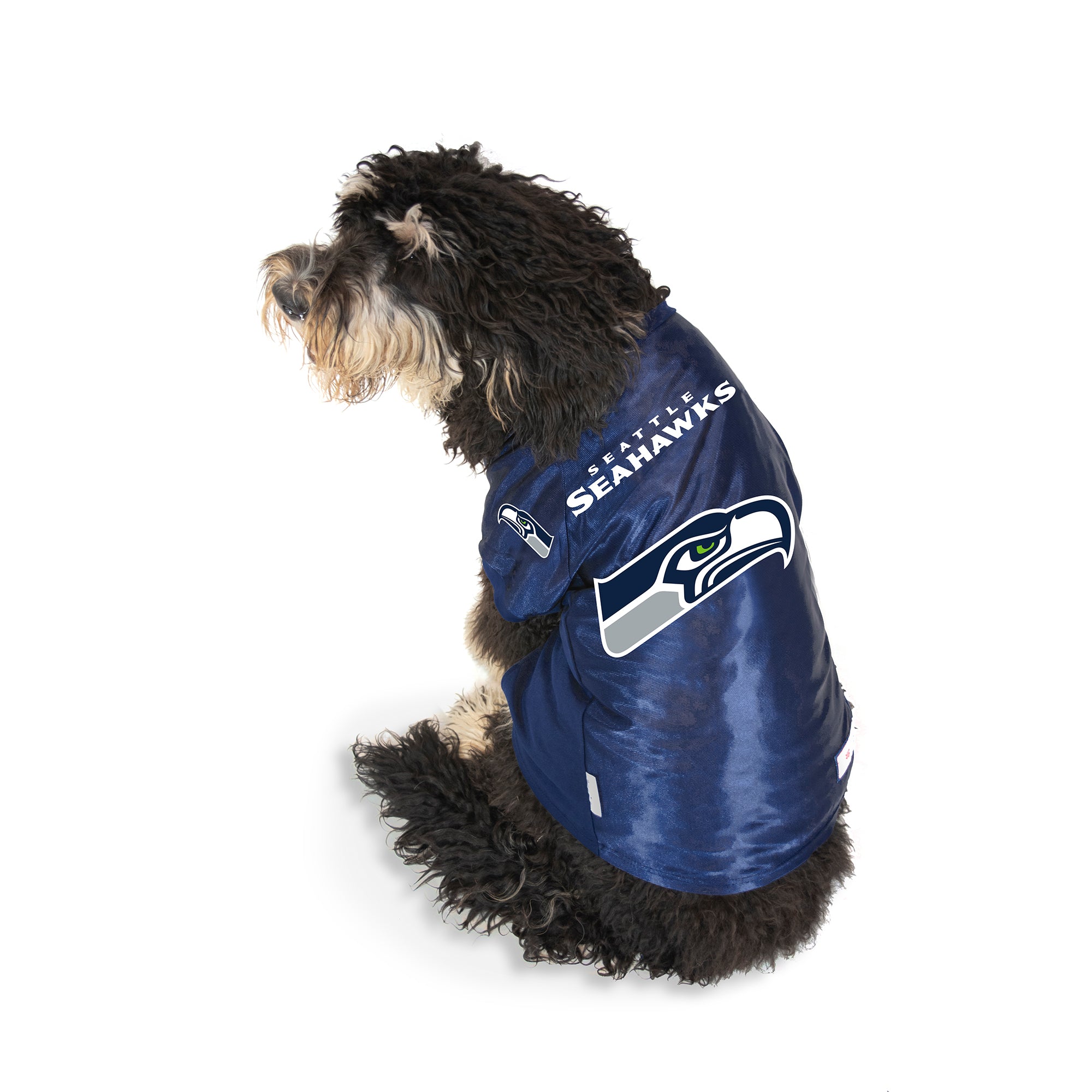 Seattle Seahawks Running Dog Costume