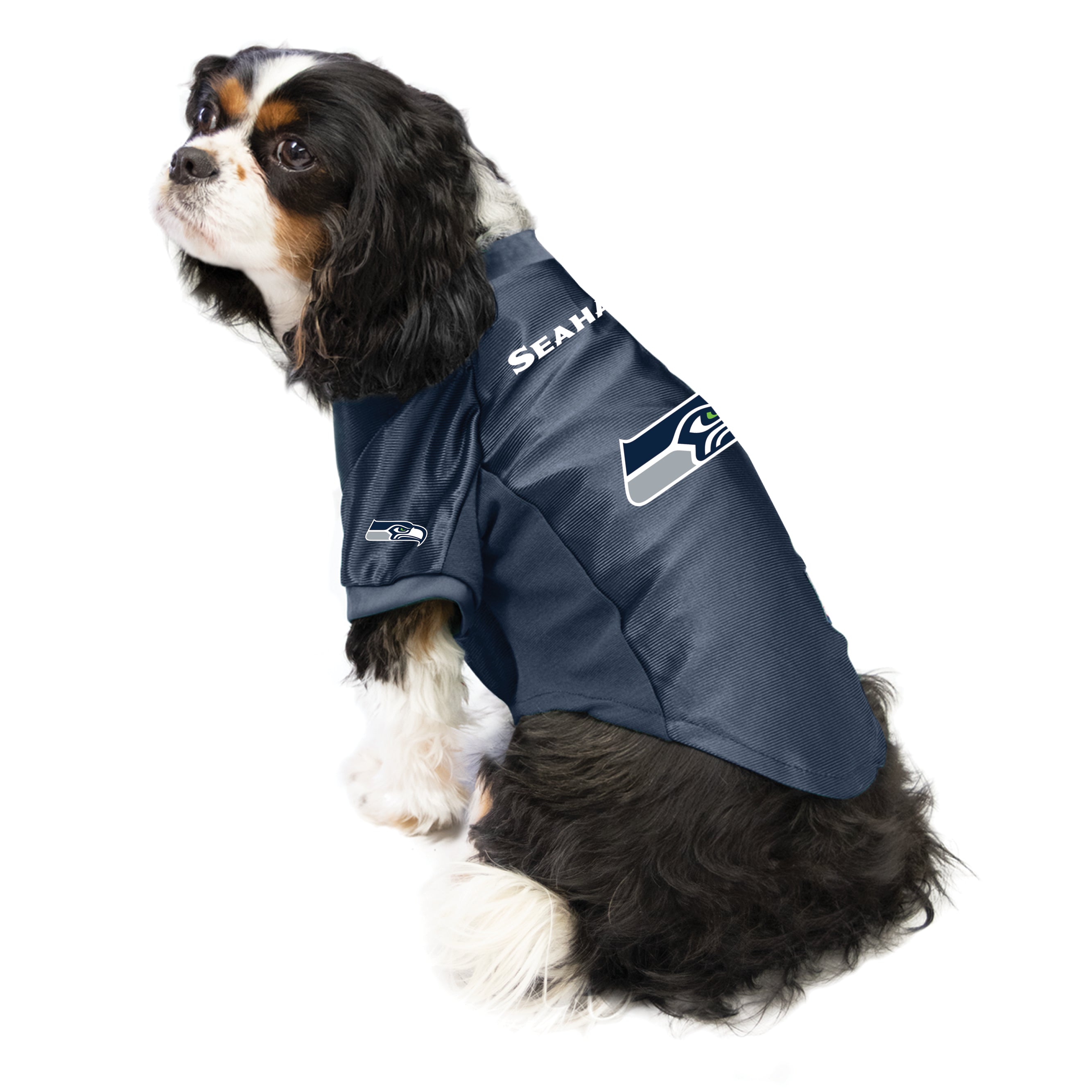 seahawks dog jersey medium