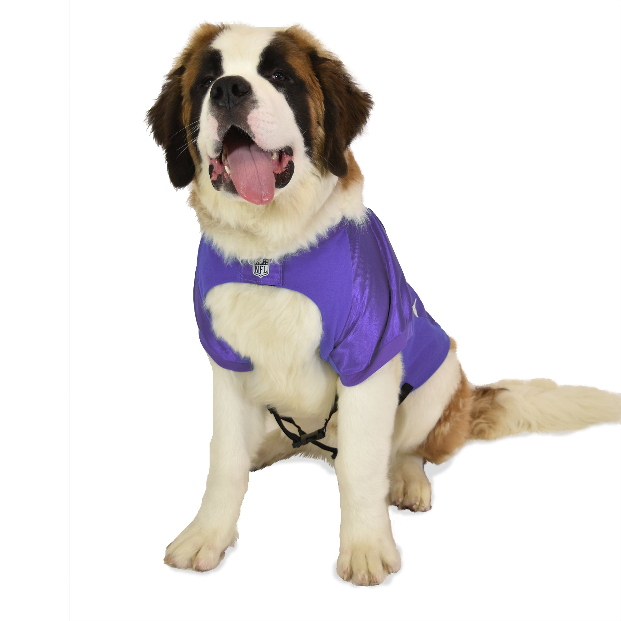 99.vikings Dog Jersey Online -  1693608027