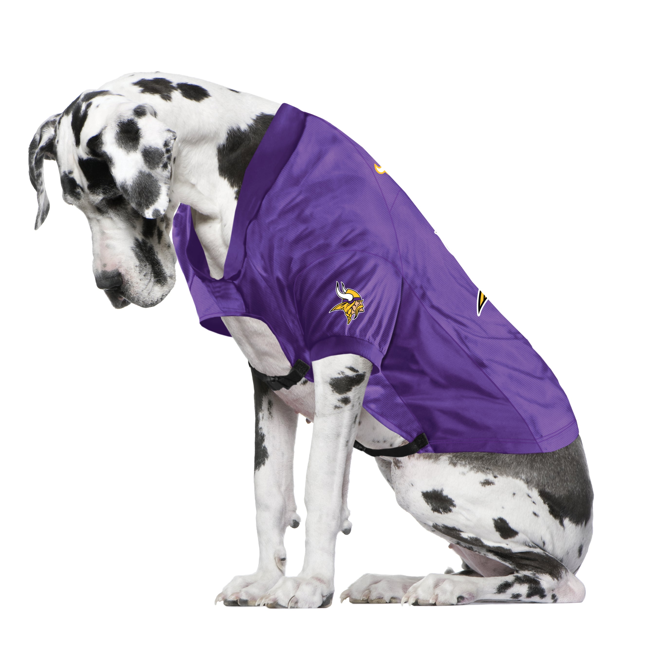 NFL Minnesota Vikings Extra Small Pet Premium Jersey