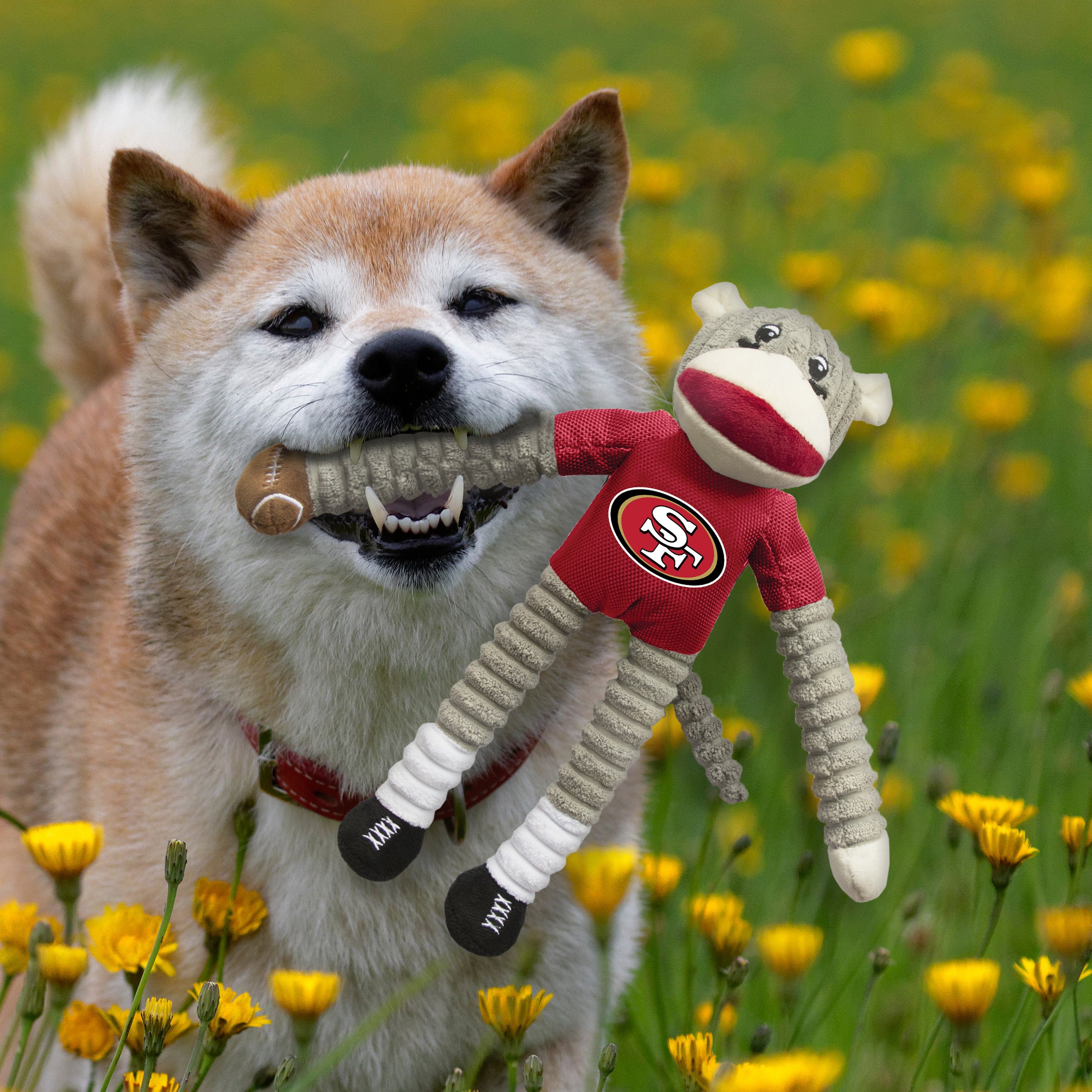 San Francisco 49ers Dog Hoodie Dog Hoodie exclusive at TheHonestDog