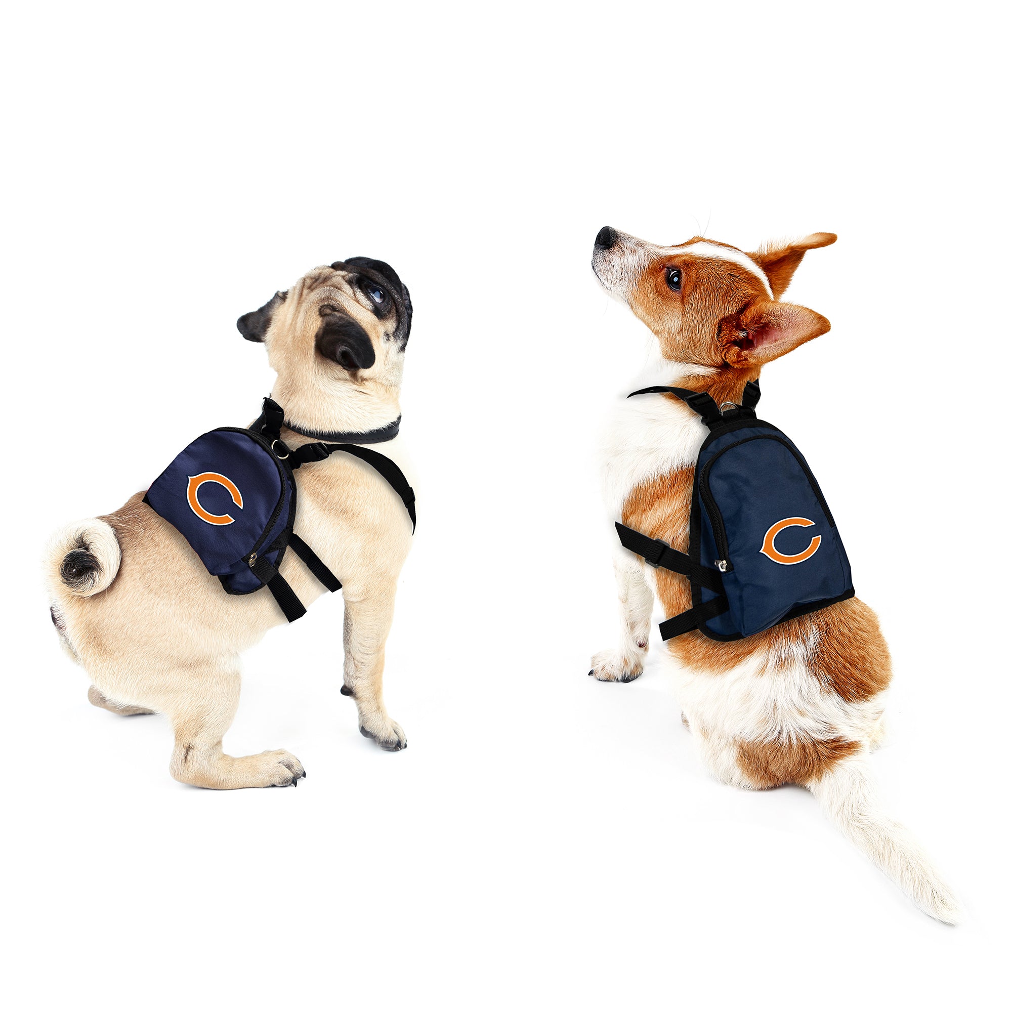 Chicago Bears Football Dog Toy