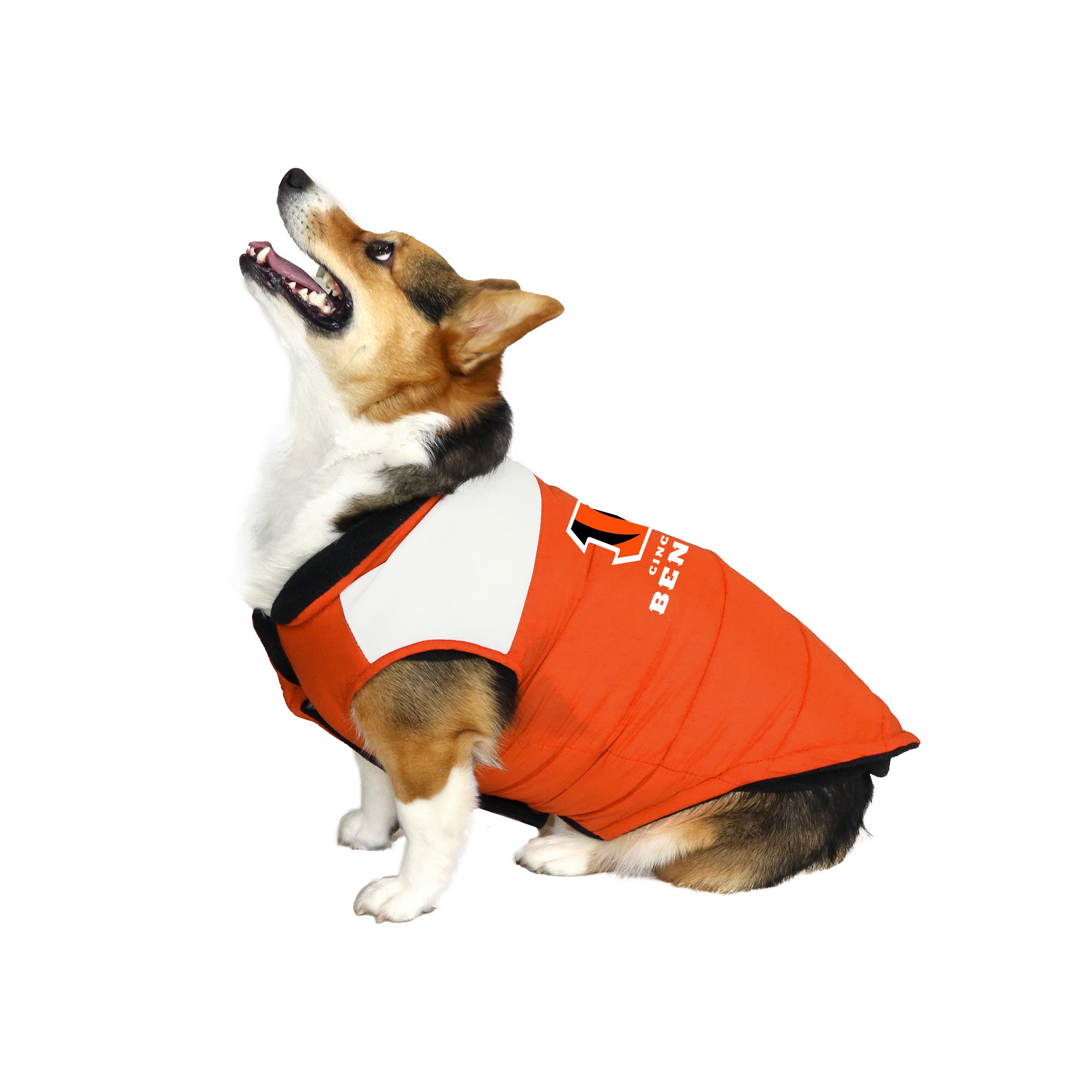 Cincinnati Bengals NFL Dog Cheerleader Outfit - HoundAbout