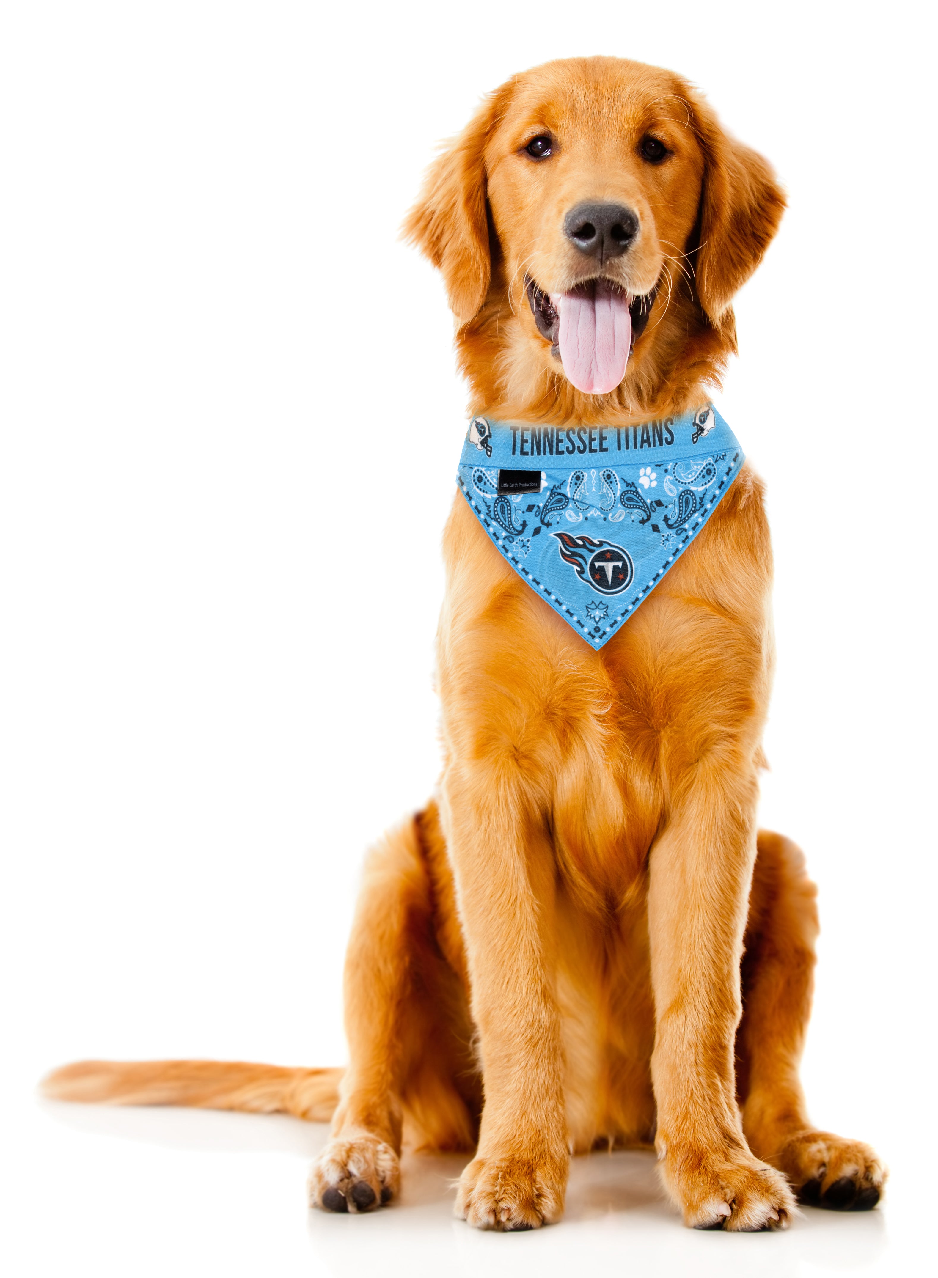 Philadelphia Eagles Dog Bandana