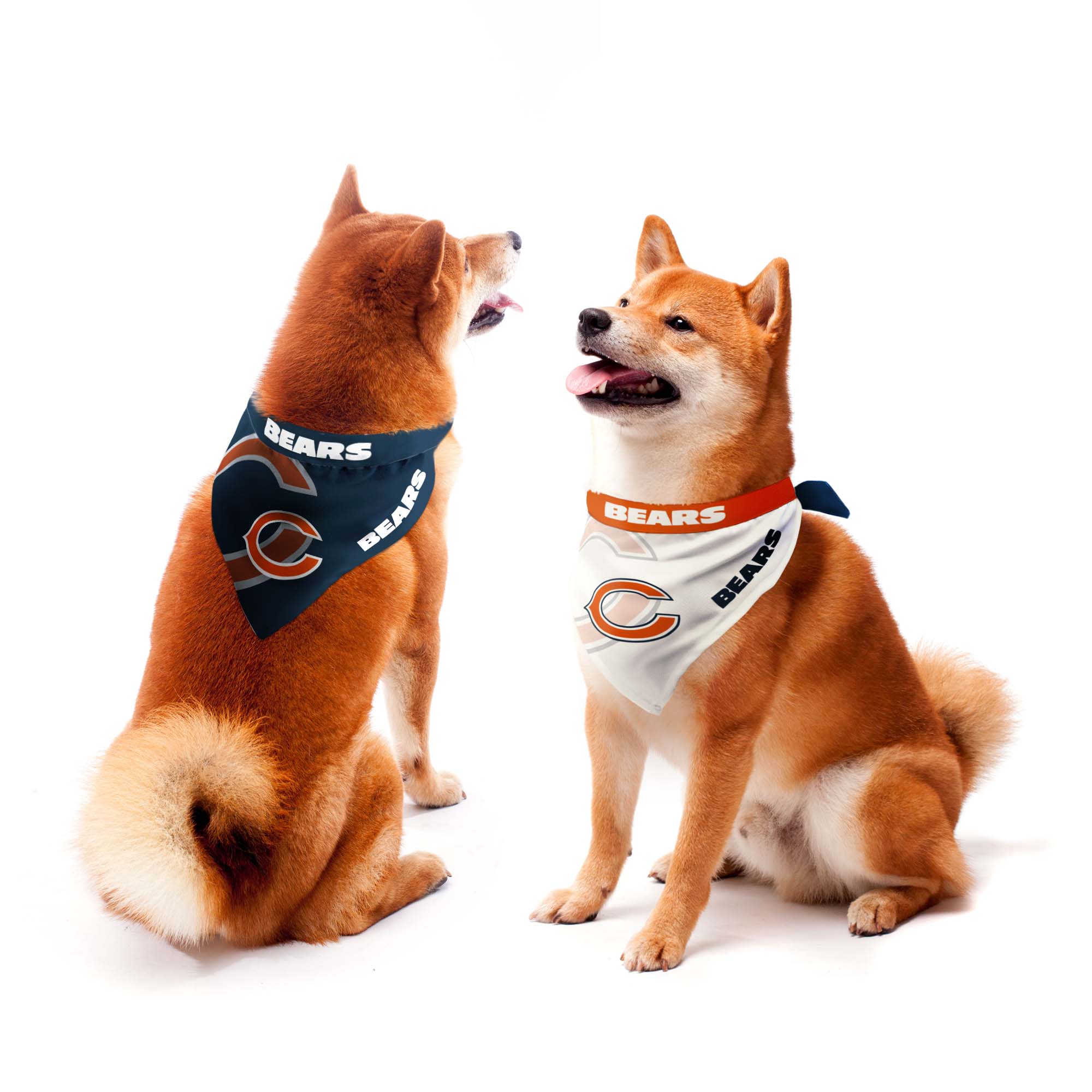 Chicago Bears Home and Away Pet Bandana Set