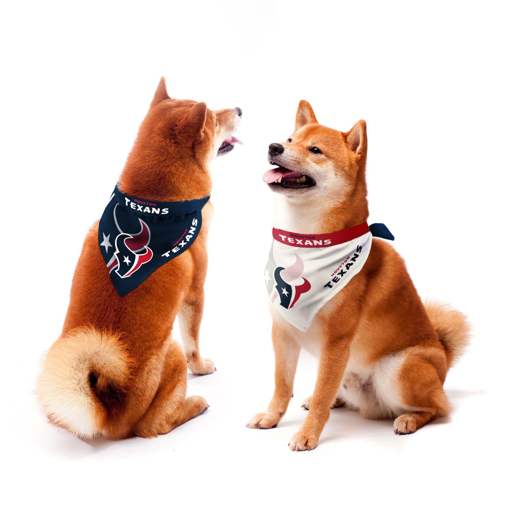 Official Houston Texans Dog Jerseys, Texans Pet Leash, Collar