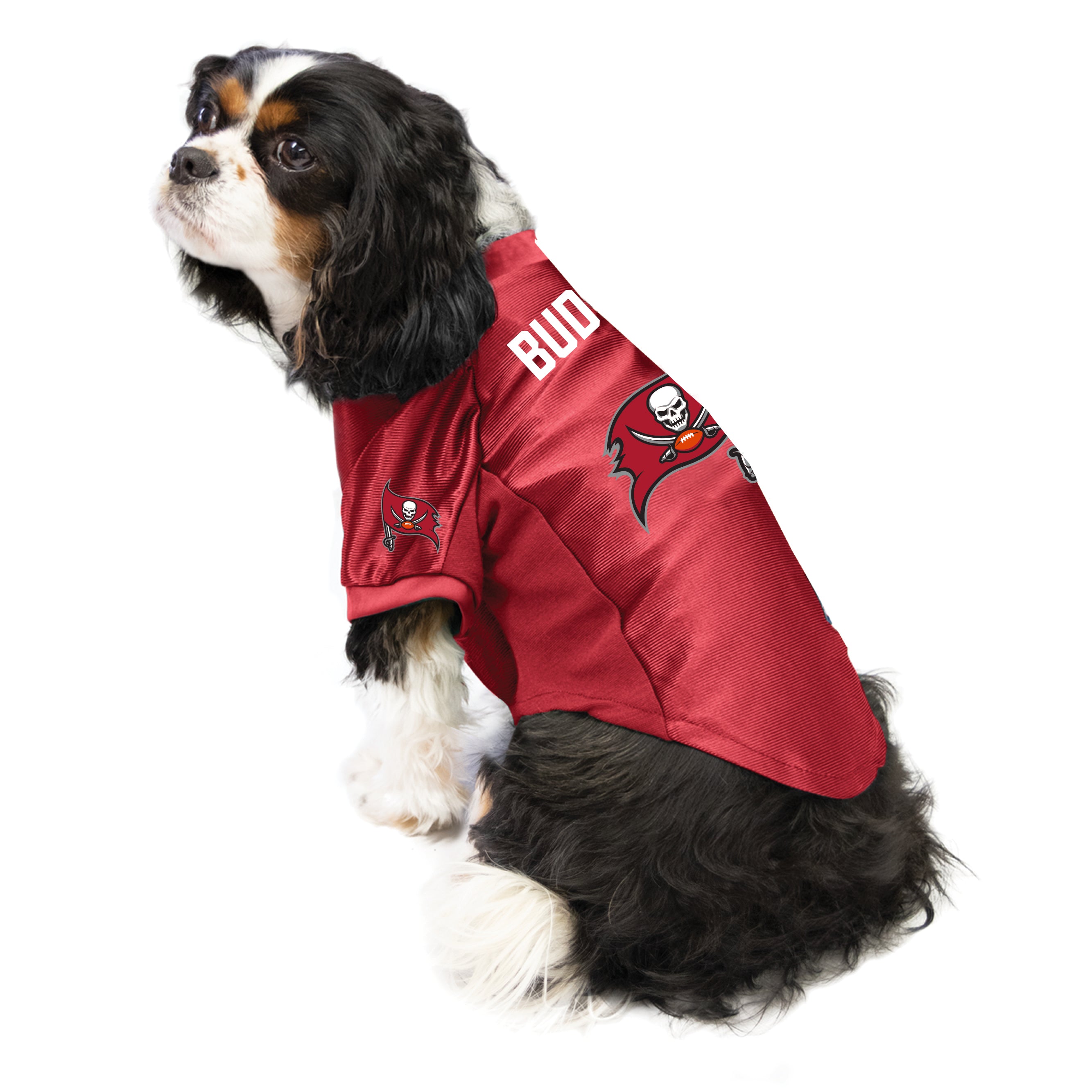 Pets First TBB-4145-MD Tampa Bay Buccaneers Mesh Jersey : Sports & Outdoors  