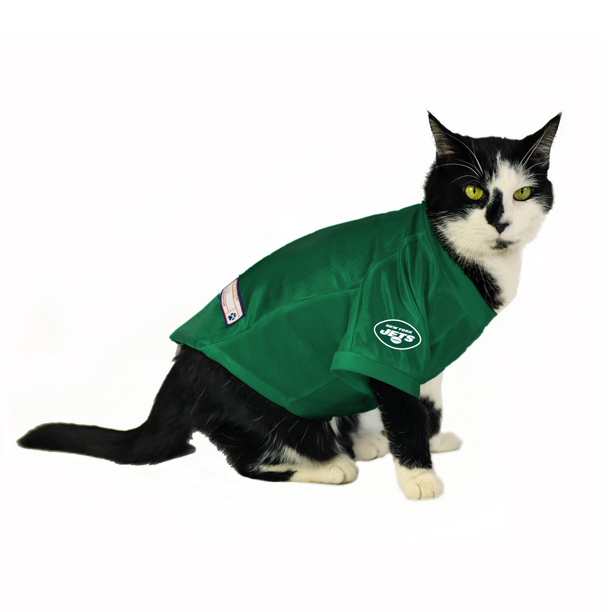 new york jets pet jersey