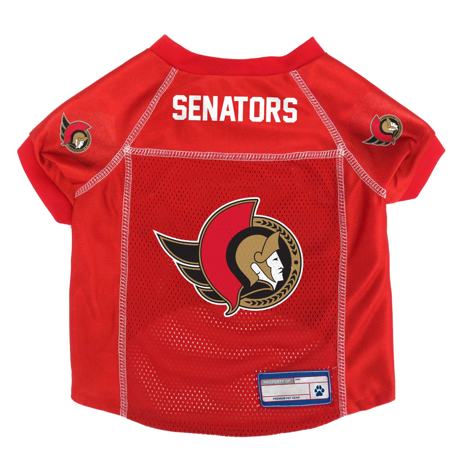 Tampa Bay Buccaneers NFL Dog Jersey