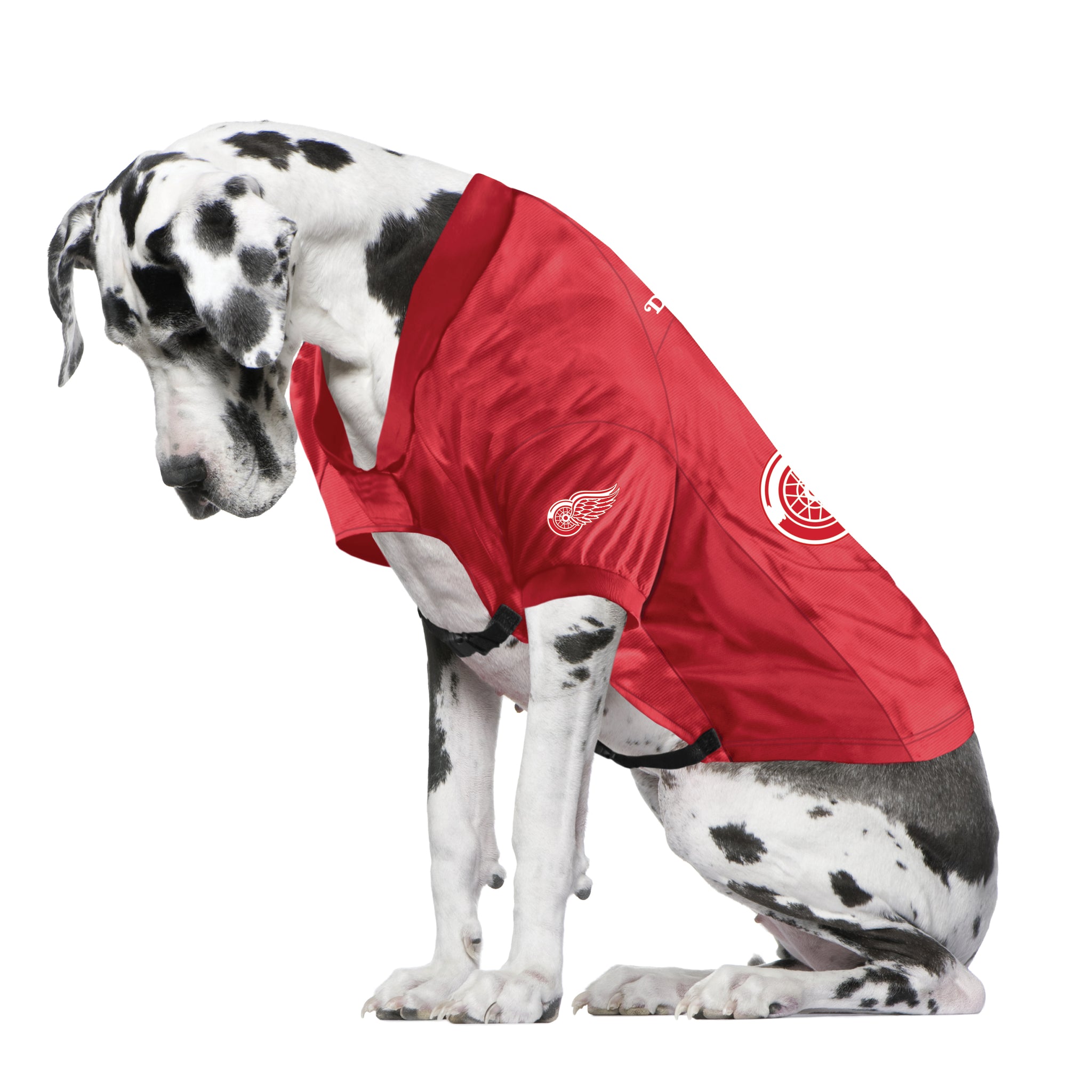 red wings dog jersey