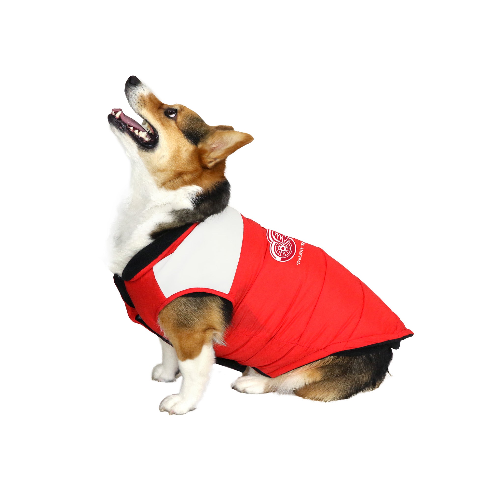 : NFL San Francisco 49ers Puffer Vest for Dogs & Cats, Size  Large. Warm, Cozy, and Waterproof Dog Coat, for Small and Large Dogs/Cats.  Best NFL Licensed PET Warming Sports Jacket :