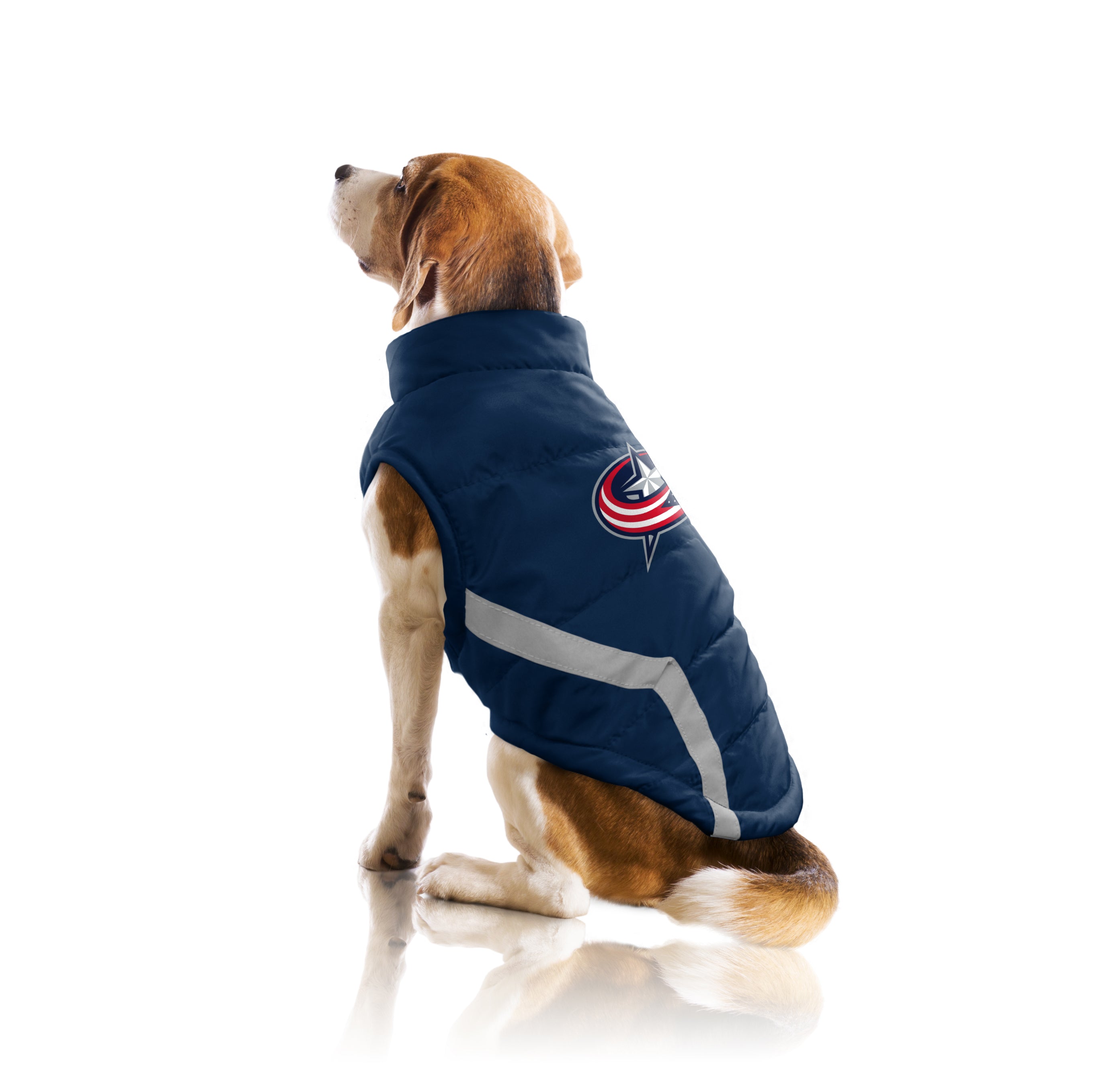 columbus blue jackets dog collar