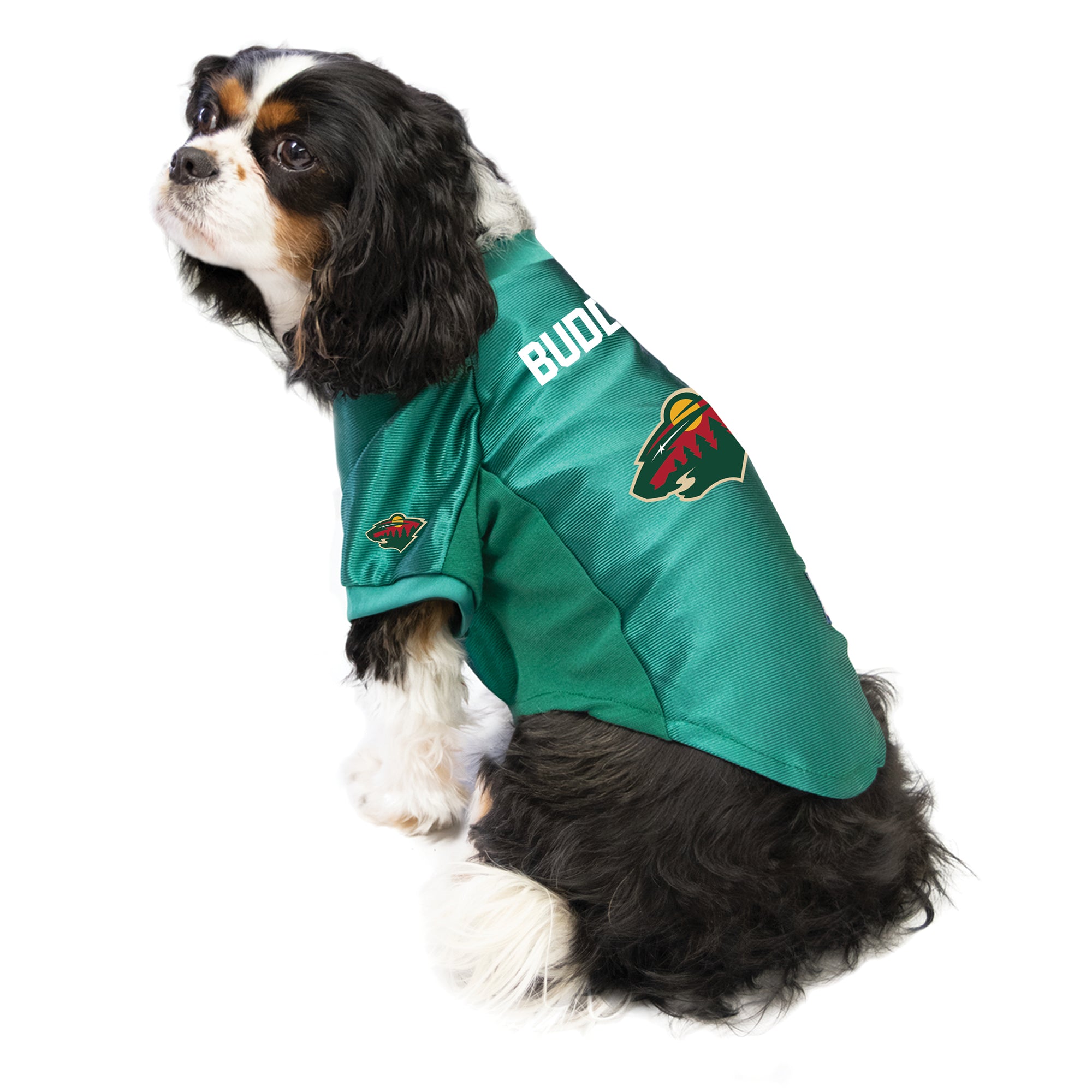 Minnesota Wild NHL Dog Sweater– Togpetwear