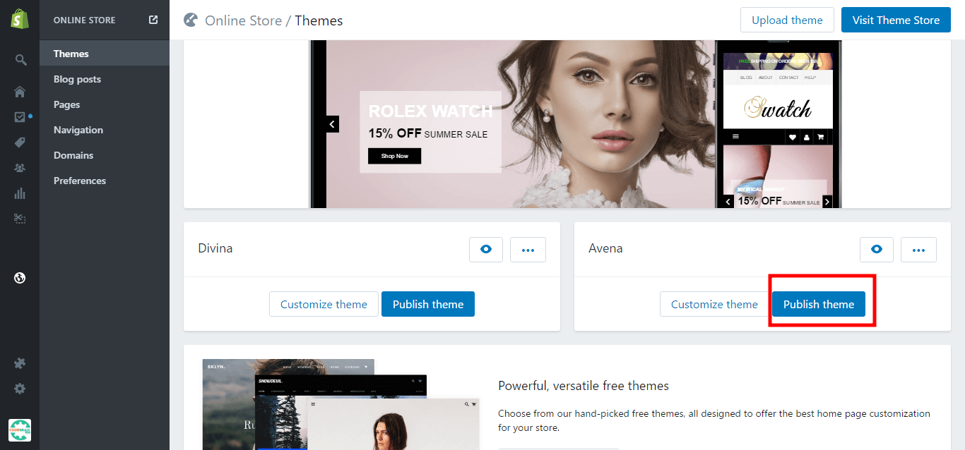 Publish Theme Shopify