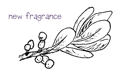 new fragrance soon