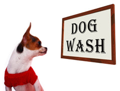 Ultrasonic-cleaning-for-pet-lovers---Clean-clippers,-perches,-filters-and-more!