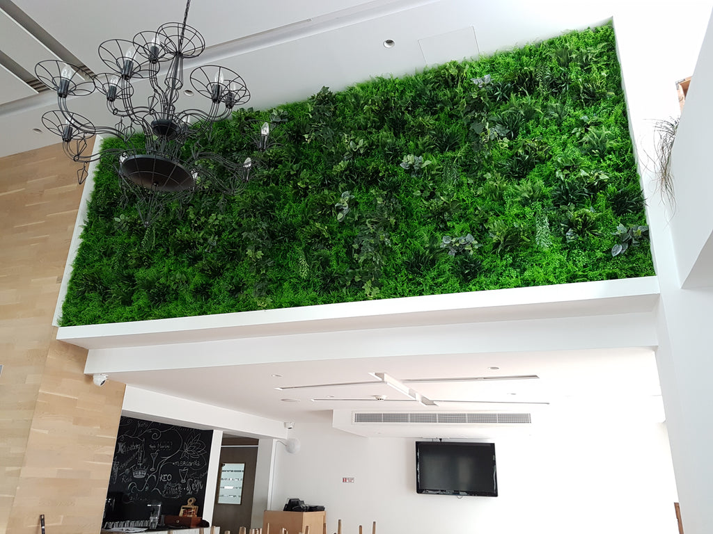 S.K Optimus | Artificial Green Wall Panel A038 | Nicosia, Cyprus