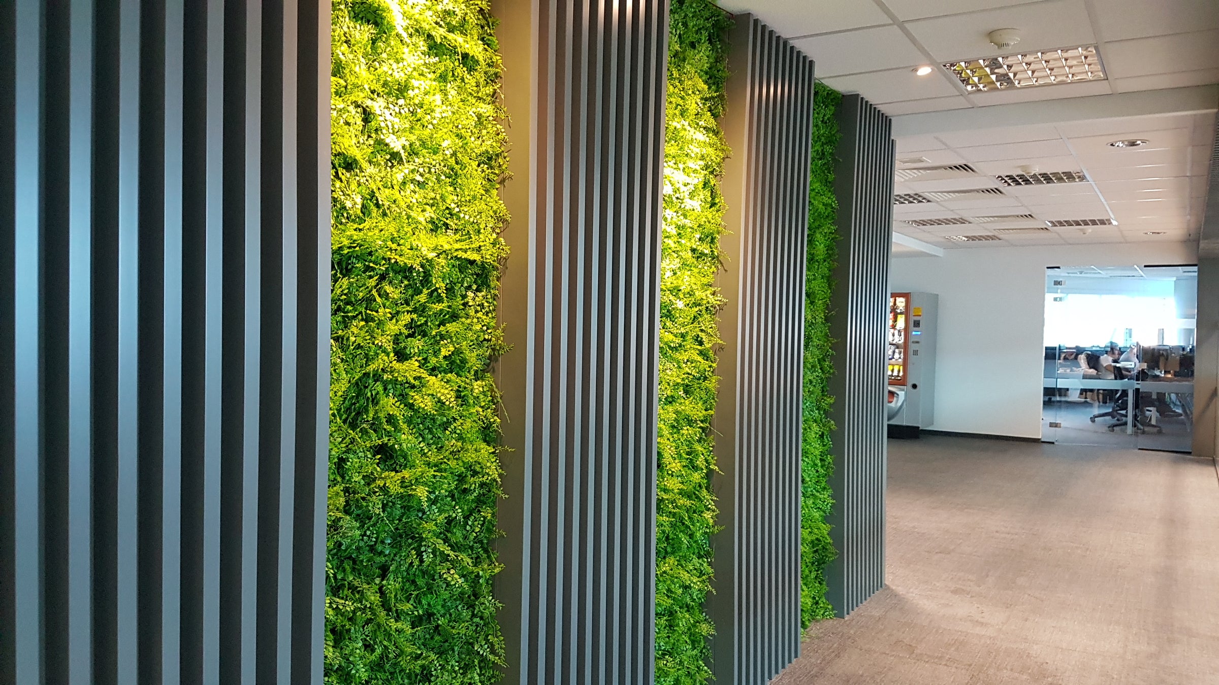 S.K Optimus | Artificial Green Wall Panel A038 | Nicosia, Cyprus