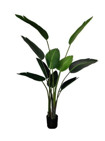 Artificial Strelitzia - Bird of Paradise (Height: 150cm & 180cm) - 370 –   Optimus