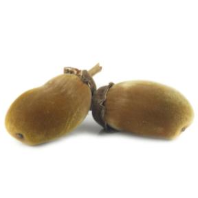 Moisture-Replenishing Baobab Fruit