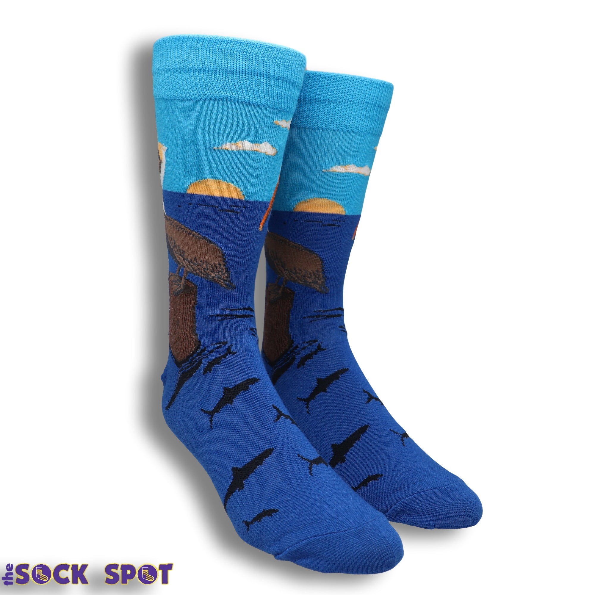 Bird's Eye View Men's Socks in Blue by SockSmith