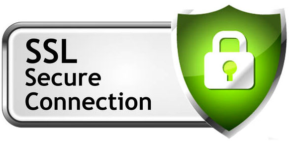 Shopify secure badge