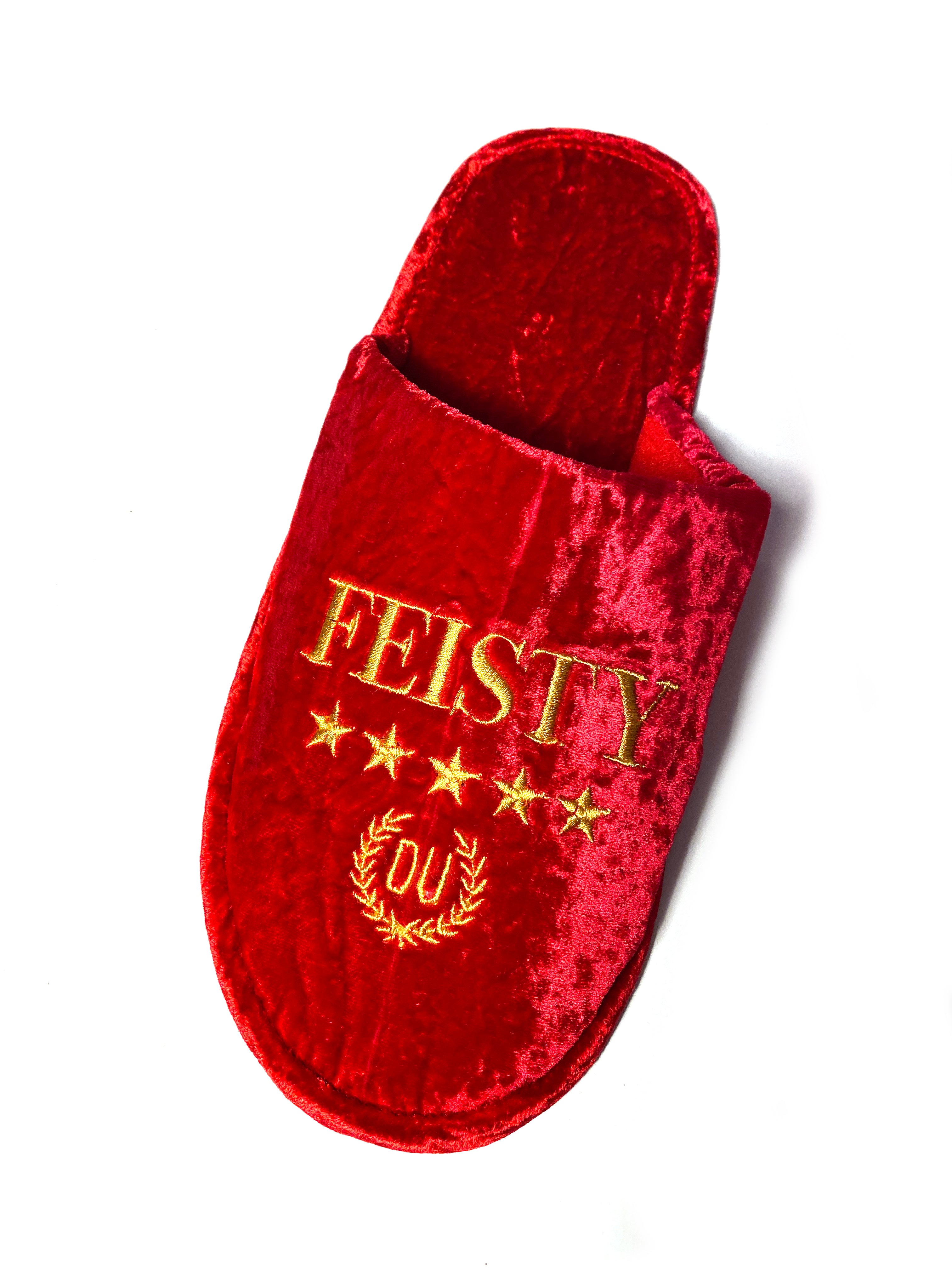 velvet house slippers