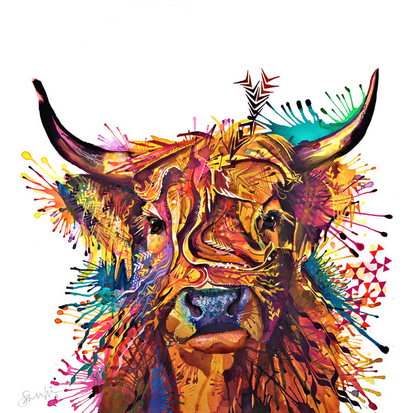 colourful highland cow