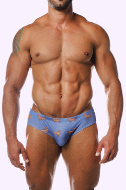 gay mens speedos