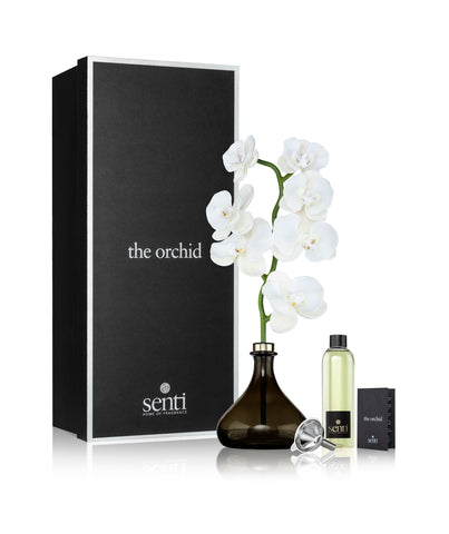 Scent Lounge | Senti Diffuser Product Image