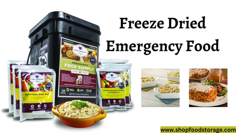 Freeze Dried Emergency Food for your Journey